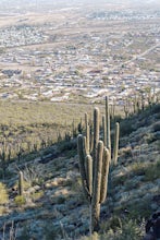 Hike Tumamoc Hill