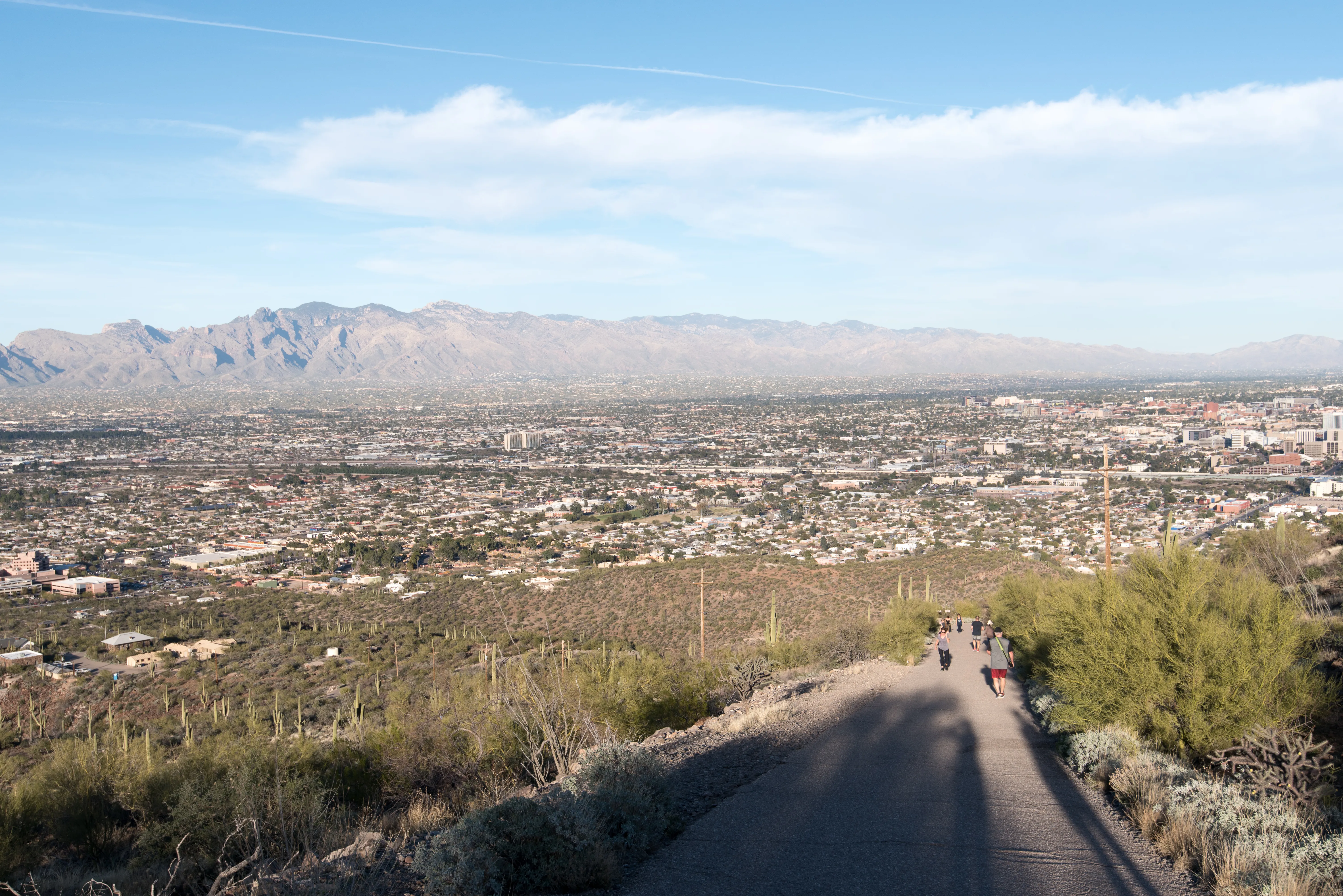 Hike Tumamoc Hill
