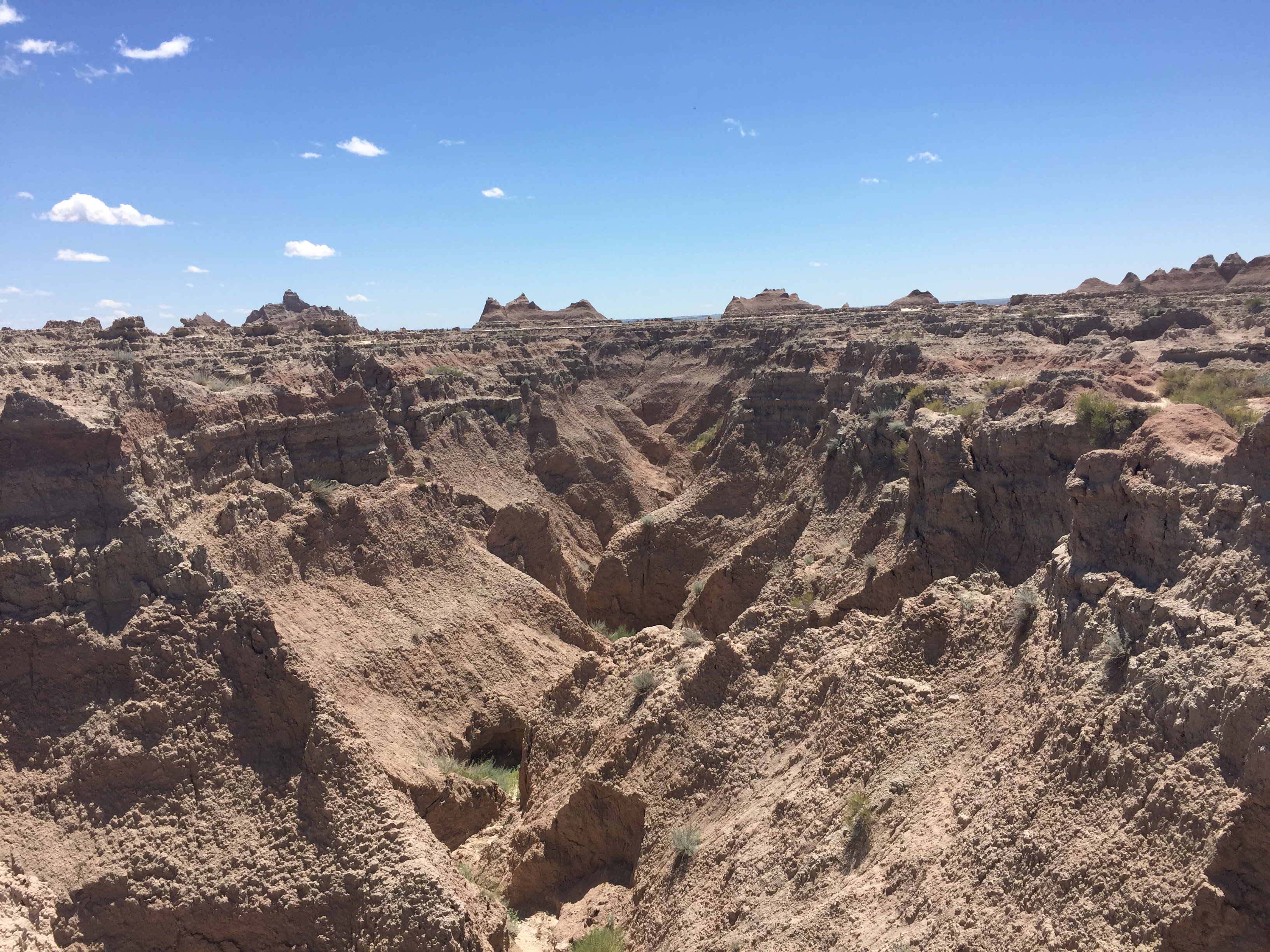 Castle & Medicine Root Trail Loop