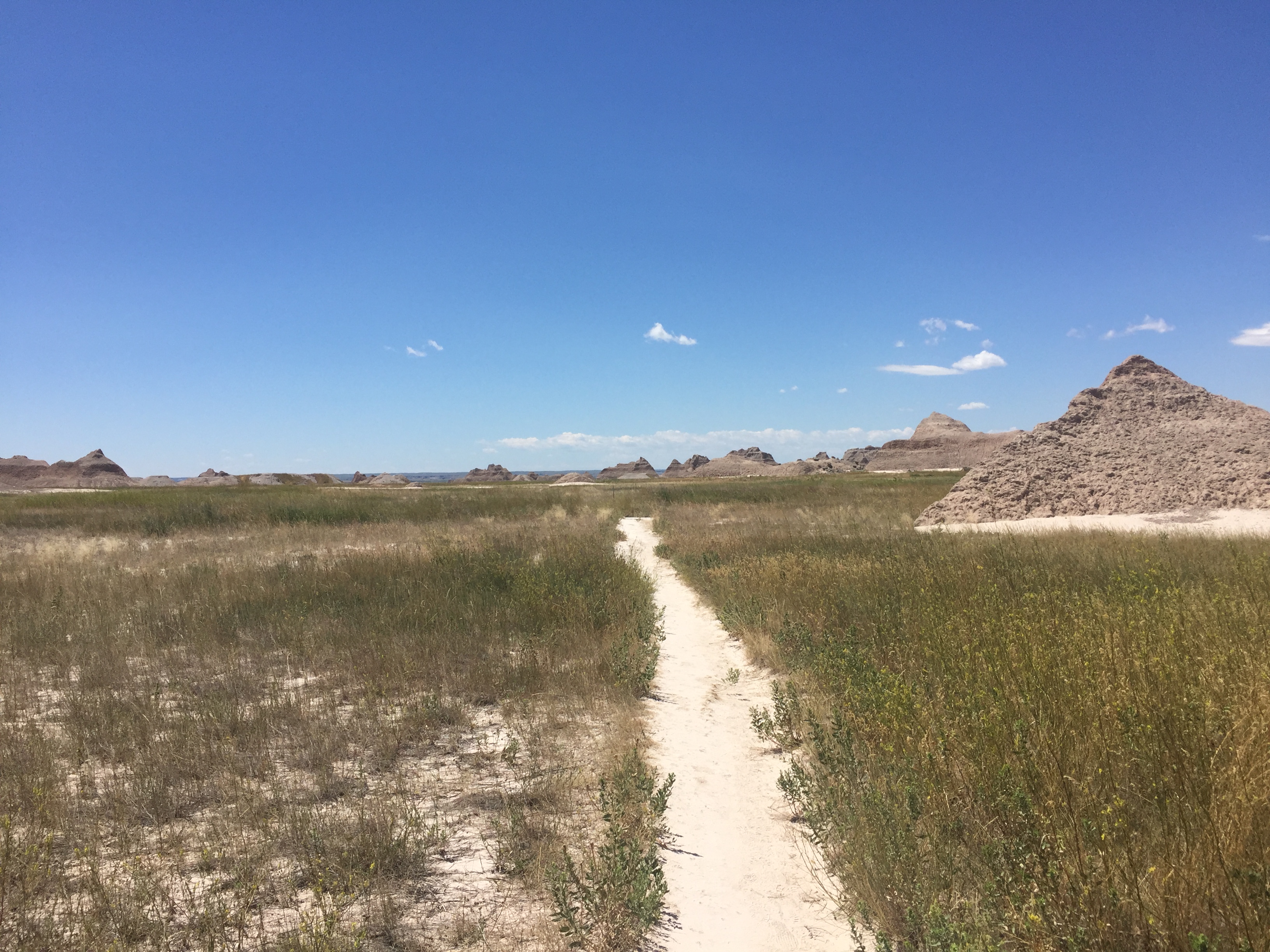 Castle & Medicine Root Trail Loop