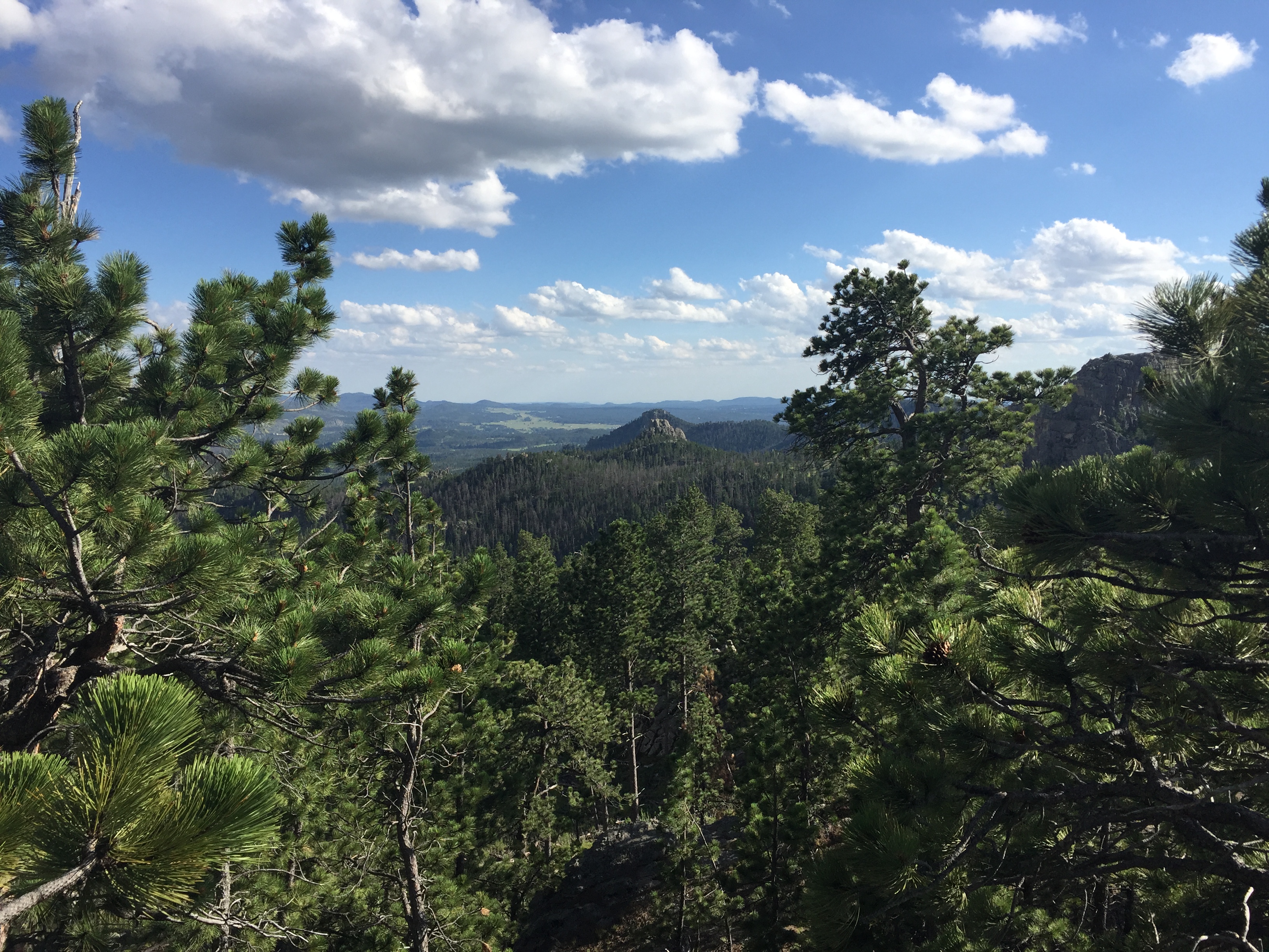 Camp at Sylvan Lake Campground, Custer, South Dakota