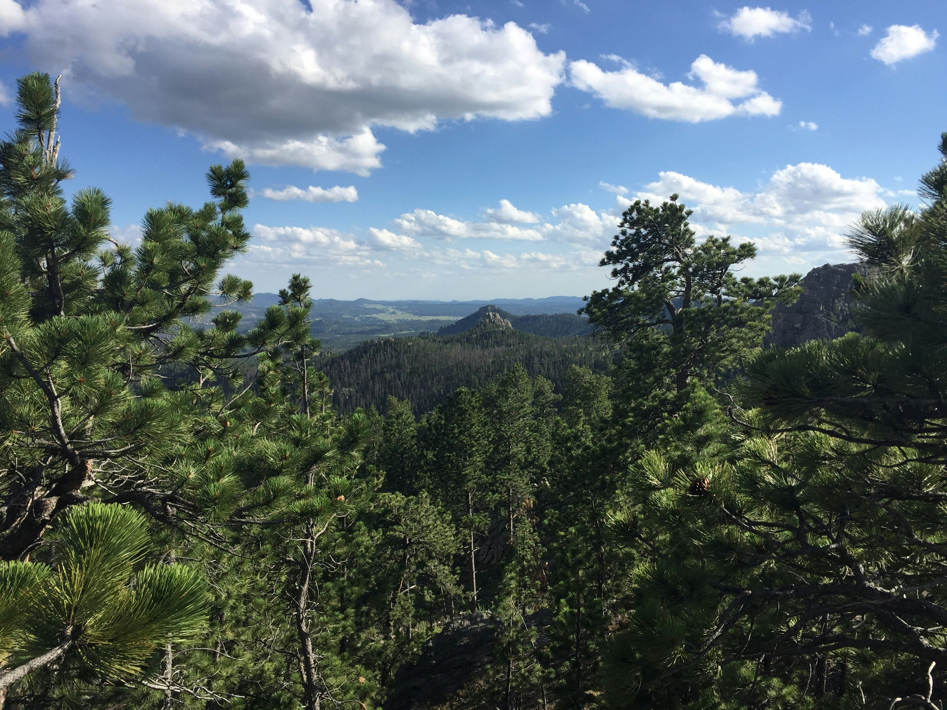 Escape to Serenity: Montana's Sylvan Lake Campground - Your Gateway to Wilderness Bliss