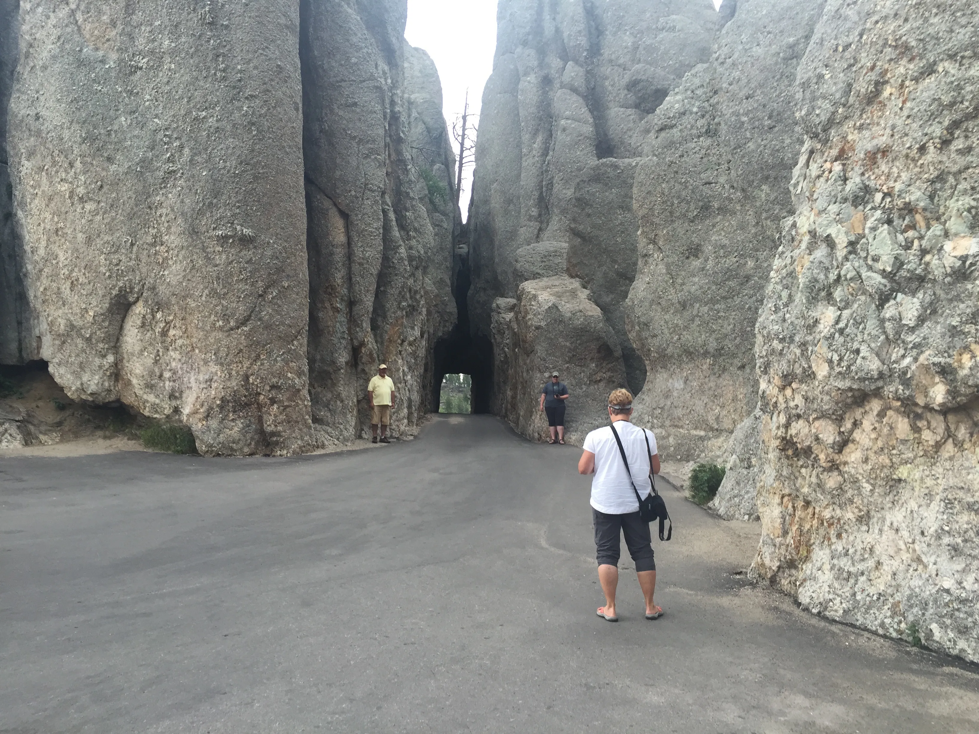 Drive the Needles Highway 
