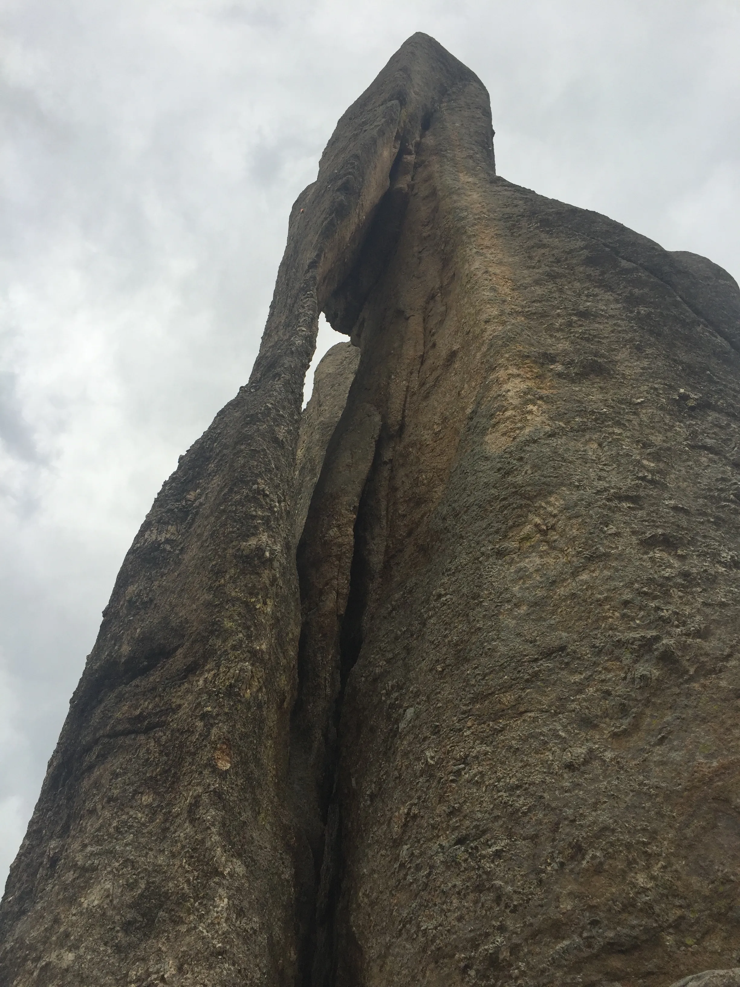Drive the Needles Highway 