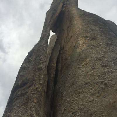 Drive the Needles Highway 