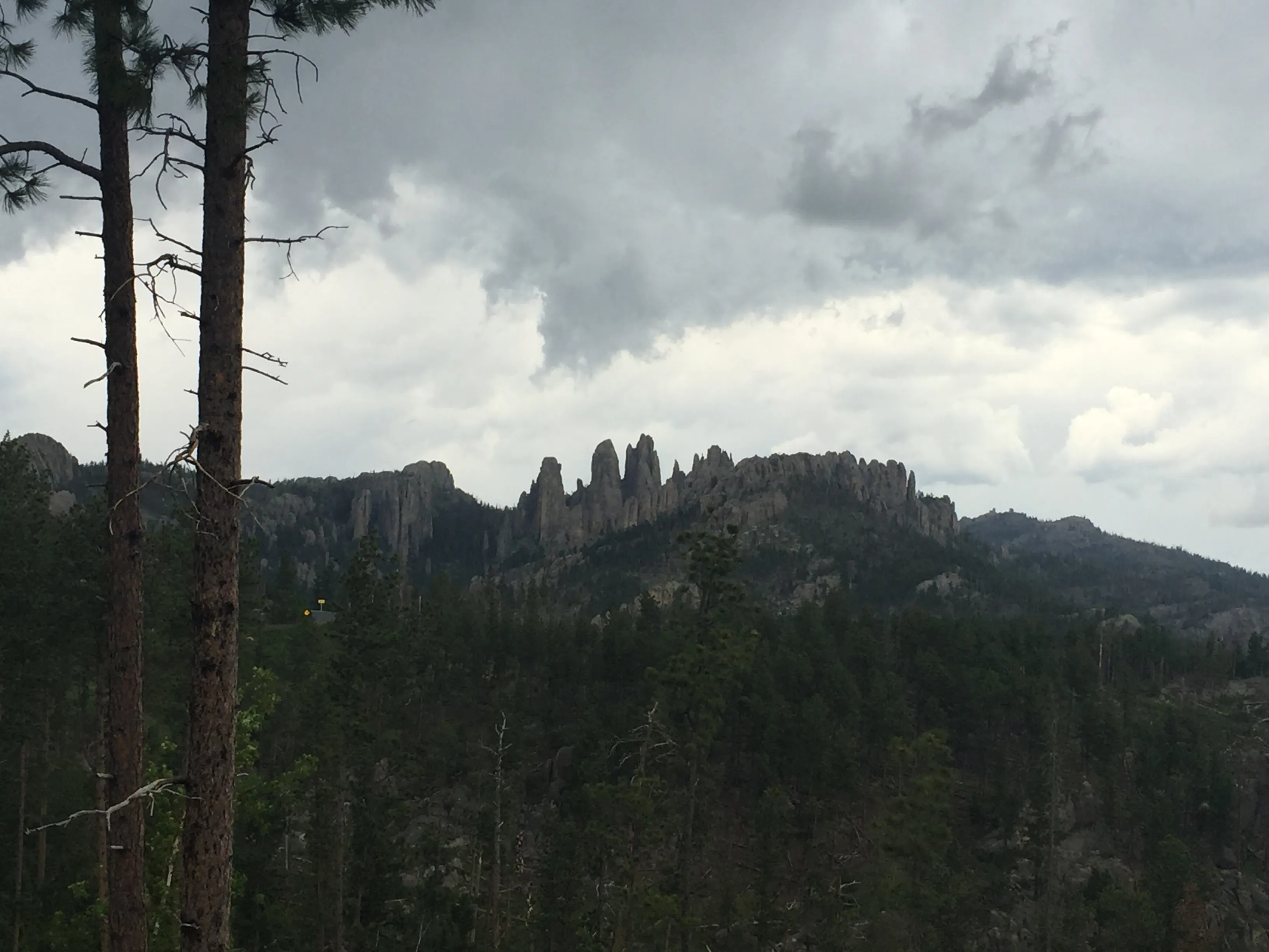 Drive the Needles Highway 