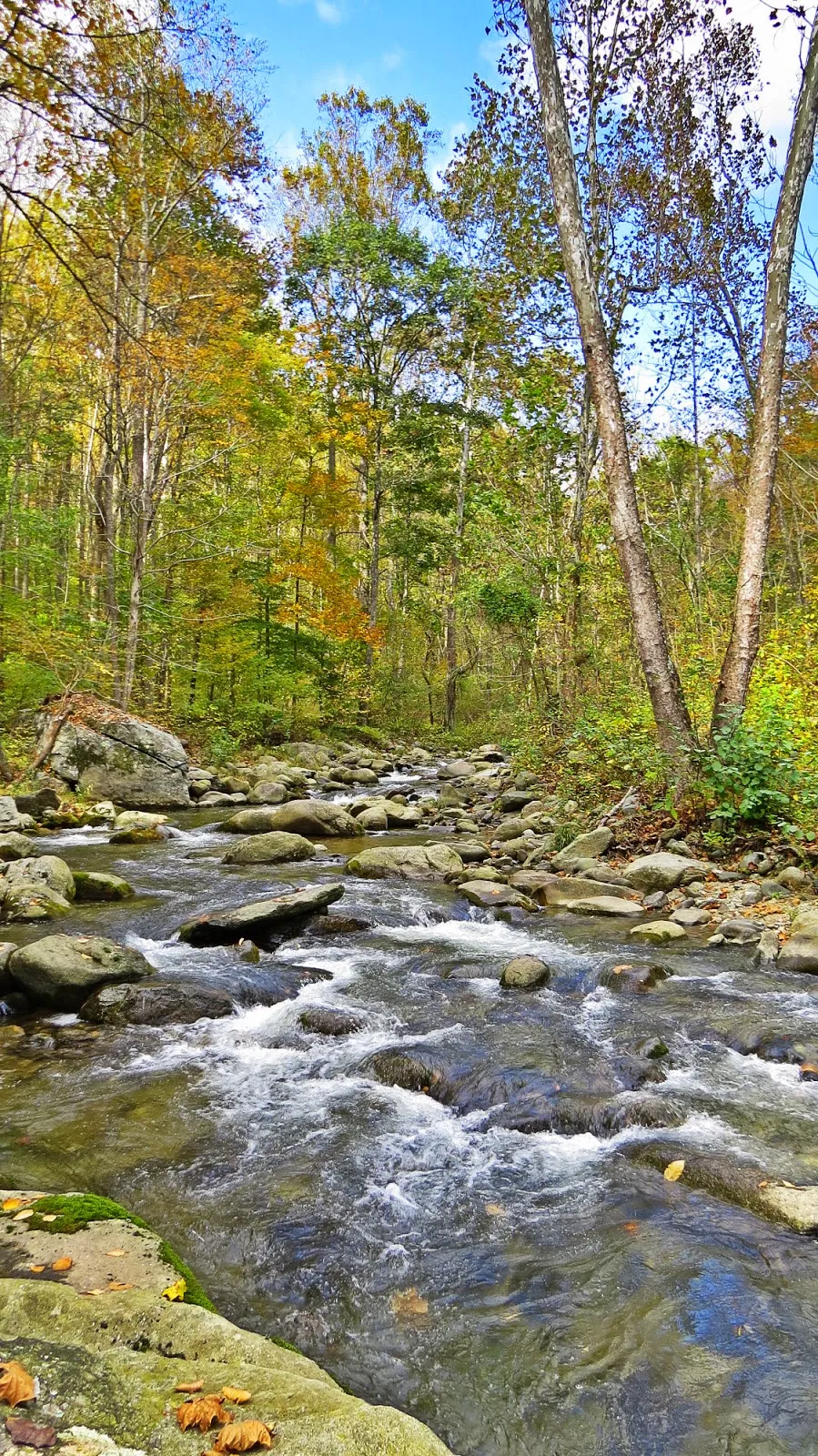 Hike Bear Church Rock via the Graves Mill Trail