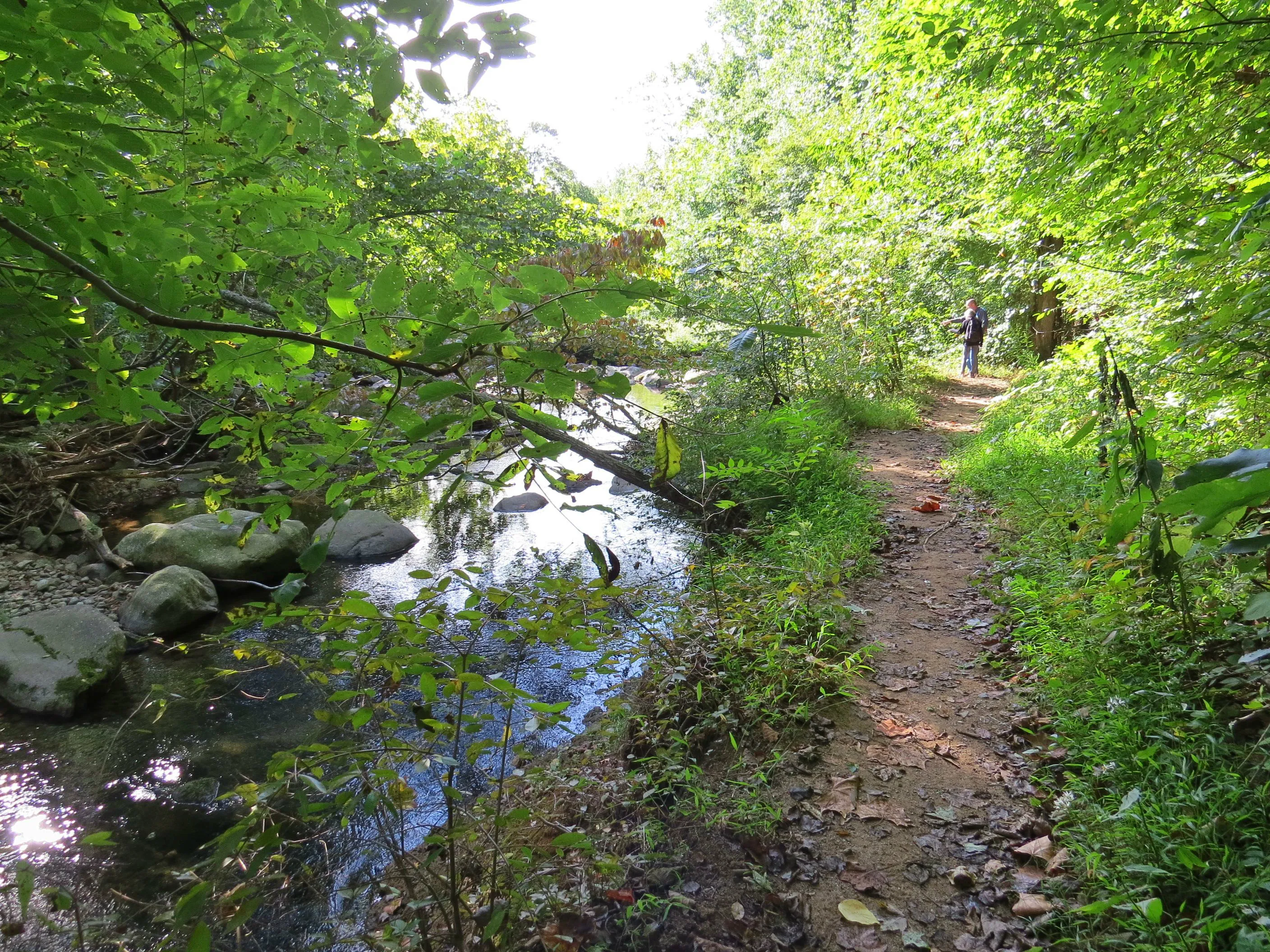 Hike Bear Church Rock via the Graves Mill Trail