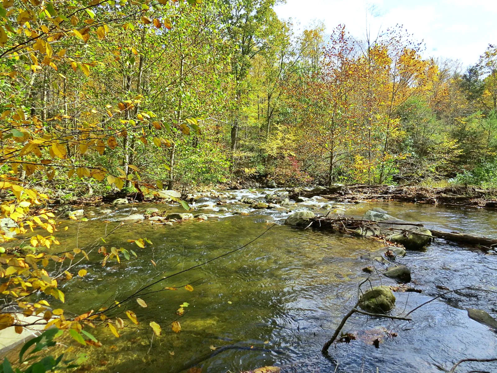 Hike Bear Church Rock via the Graves Mill Trail
