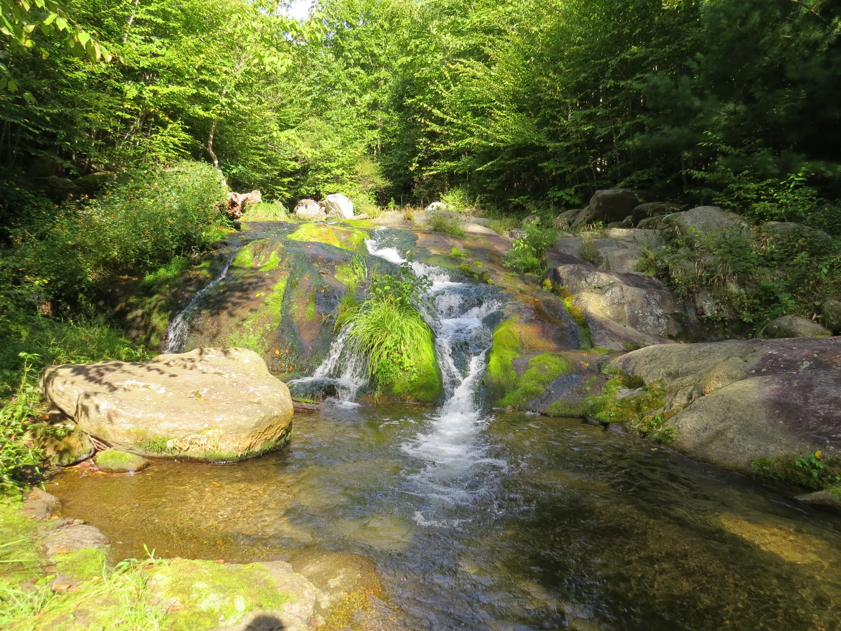 Hike Bear Church Rock via the Graves Mill Trail