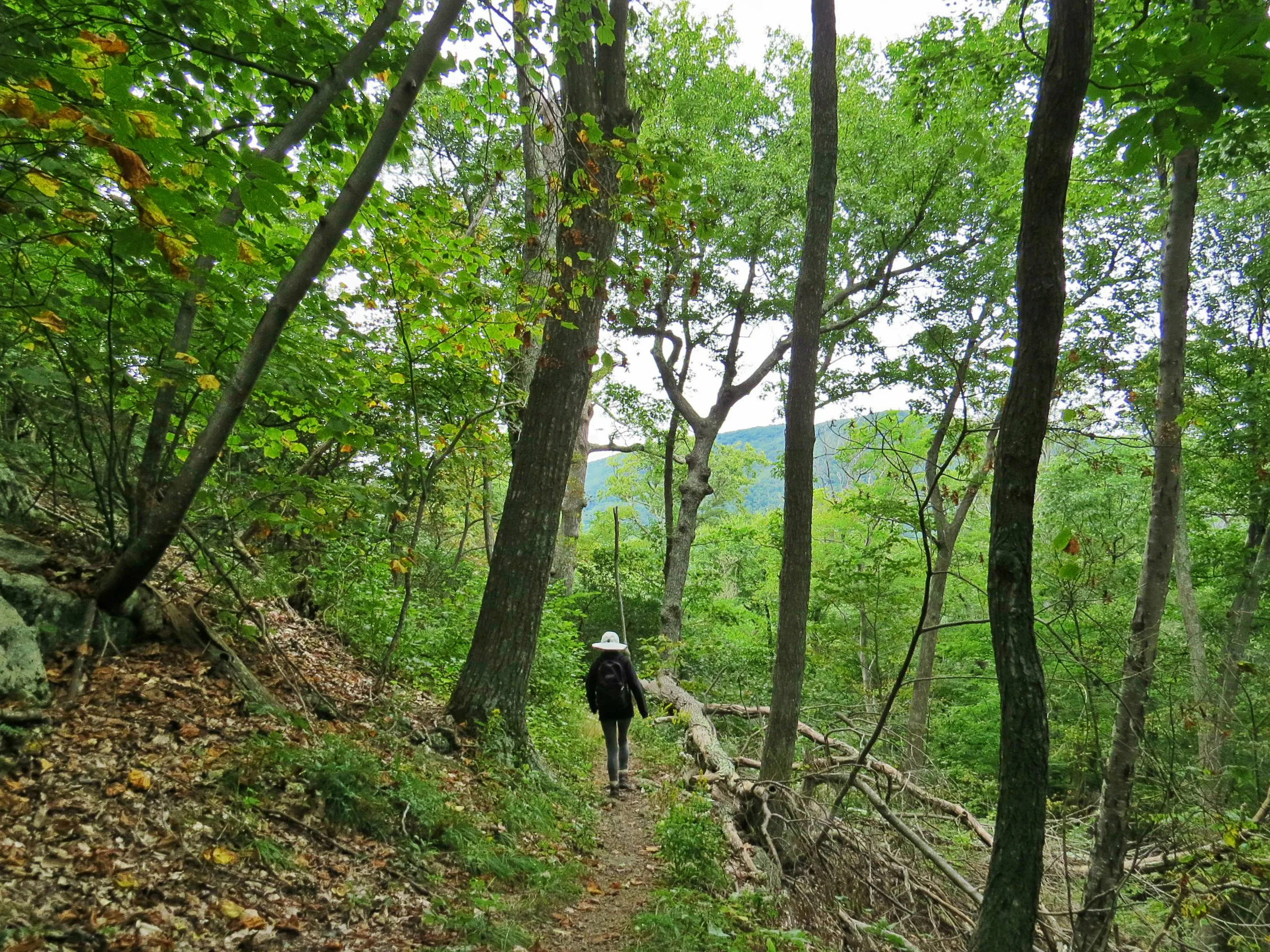 Hike Bear Church Rock via the Graves Mill Trail