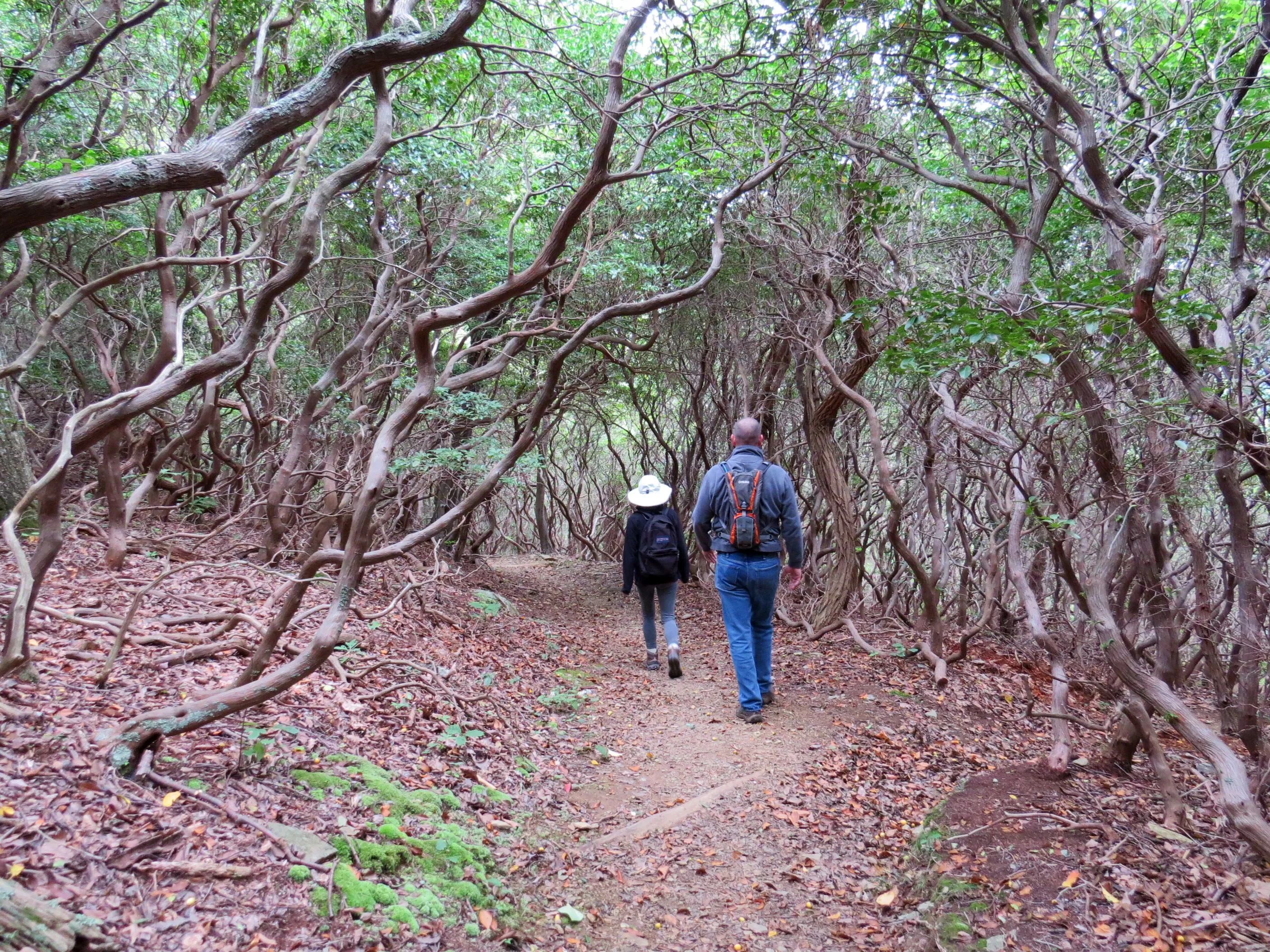 Hike Bear Church Rock via the Graves Mill Trail
