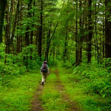 Backpack the Two Lakes Loop Trail, Hoosier NF