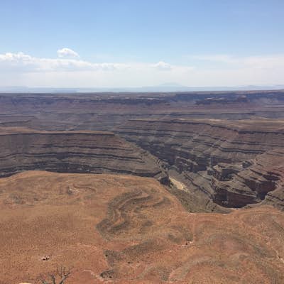 Take in the view at Muley Point