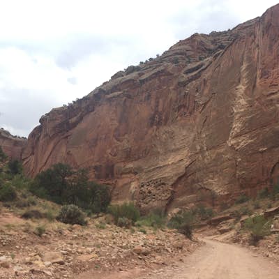 Hike Capitol Gorge in Capitol Reef National Park