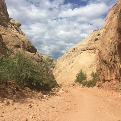Hike Capitol Gorge in Capitol Reef National Park