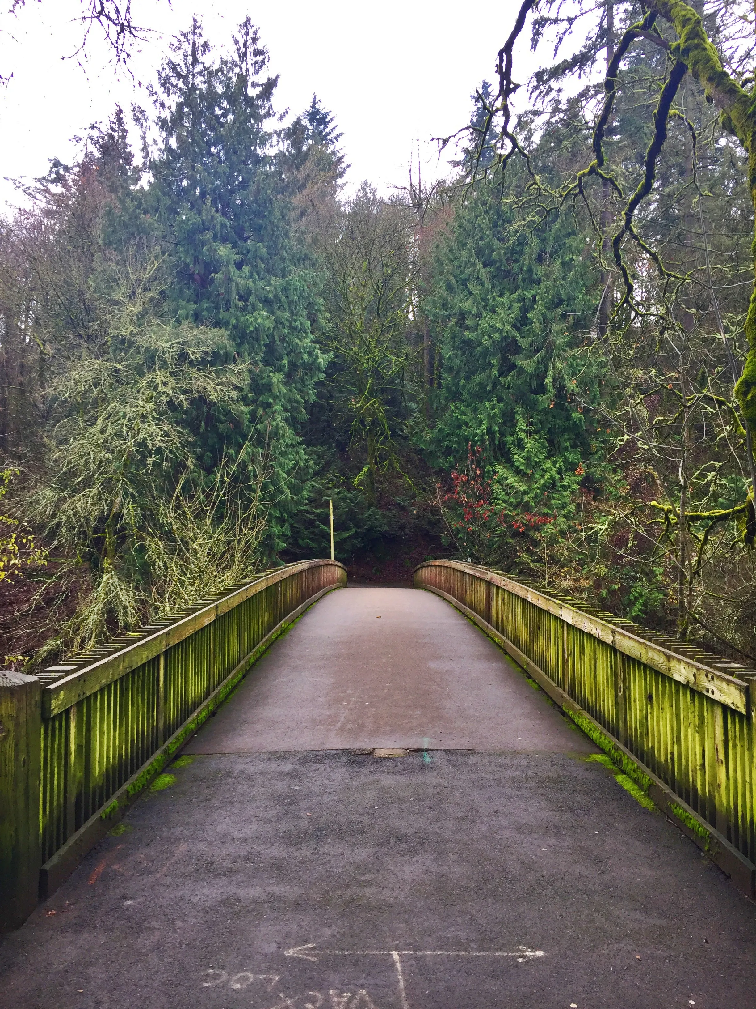 Old River Road to George Rogers Park