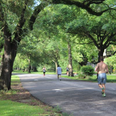 Run The Audubon Park Trail in New Orleans