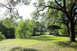 Run The Audubon Park Trail in New Orleans