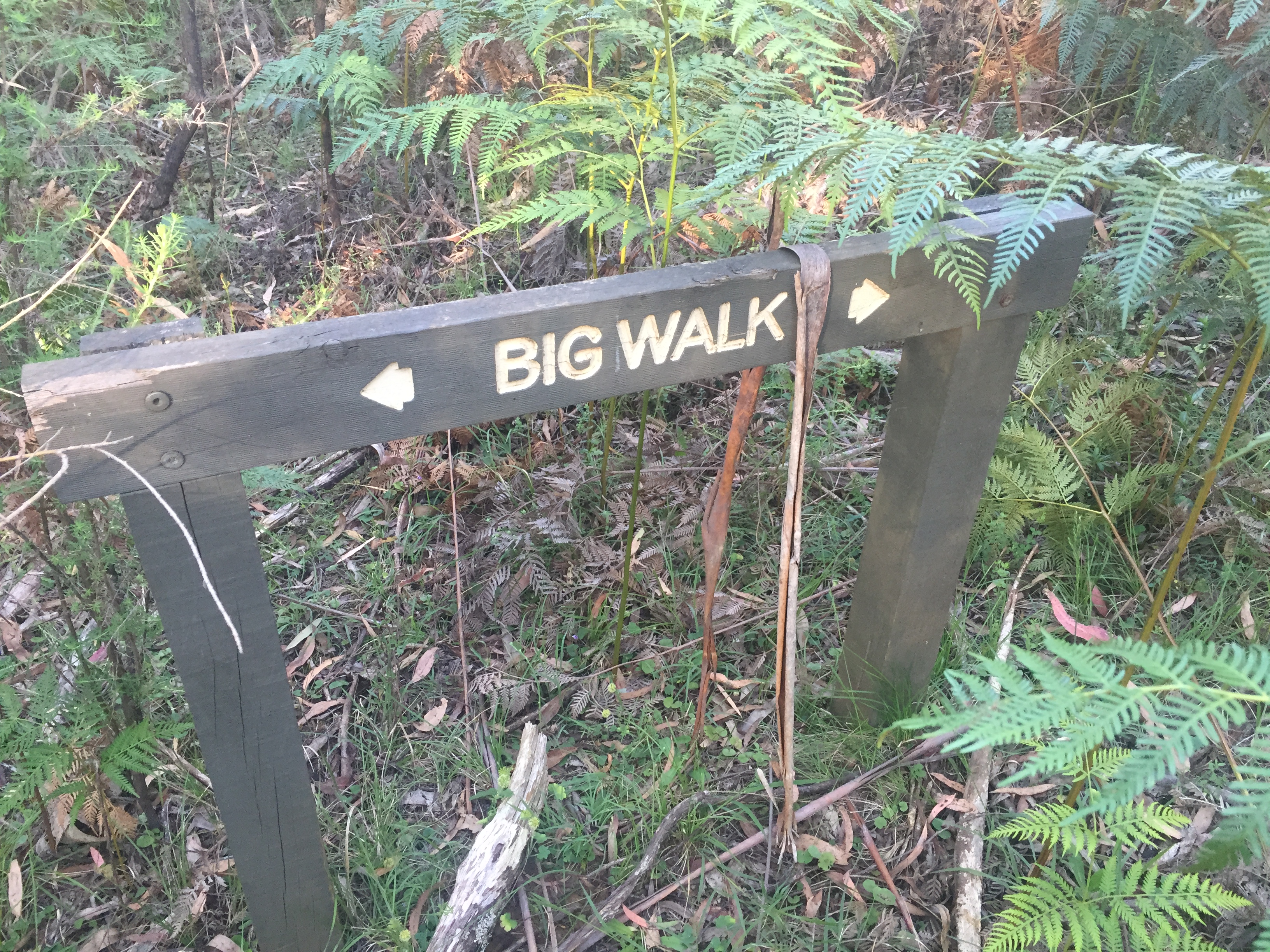 Hike Mount Buffalo 