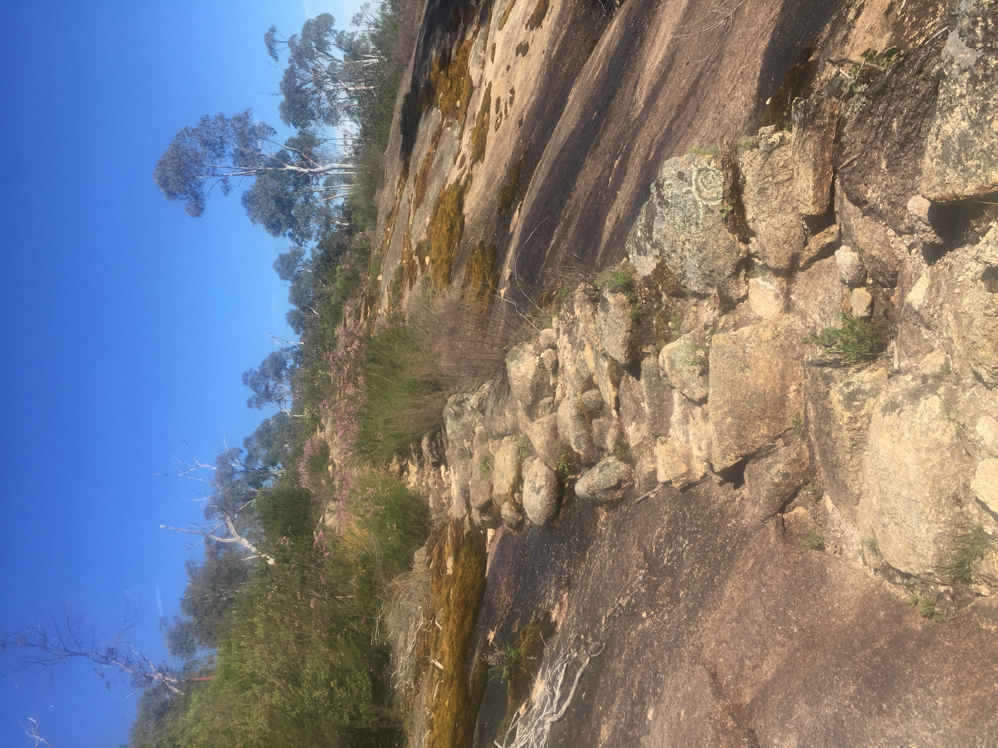 Hike Mount Buffalo 