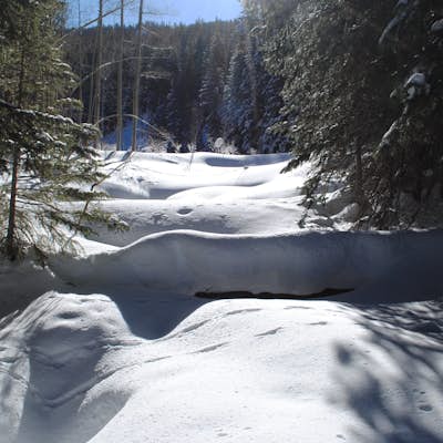 Snowshoe around Mesa Lakes