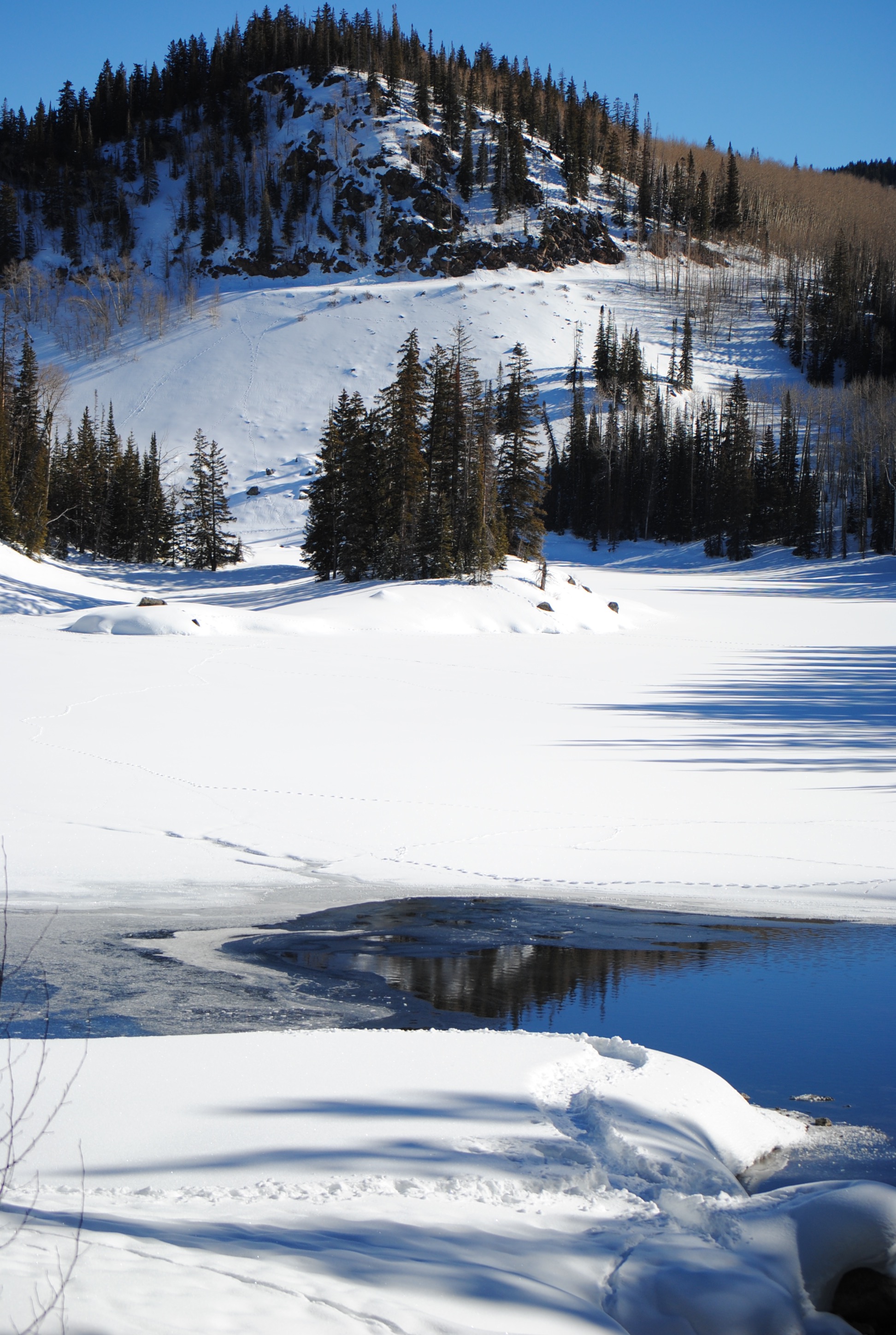 Snowshoe around Mesa Lakes, Mesa County, Colorado