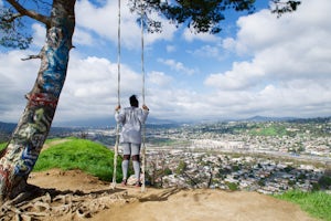 Visit the Secret Swing in Elysian Park