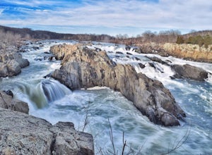 Photograph Great Falls of the Potomac