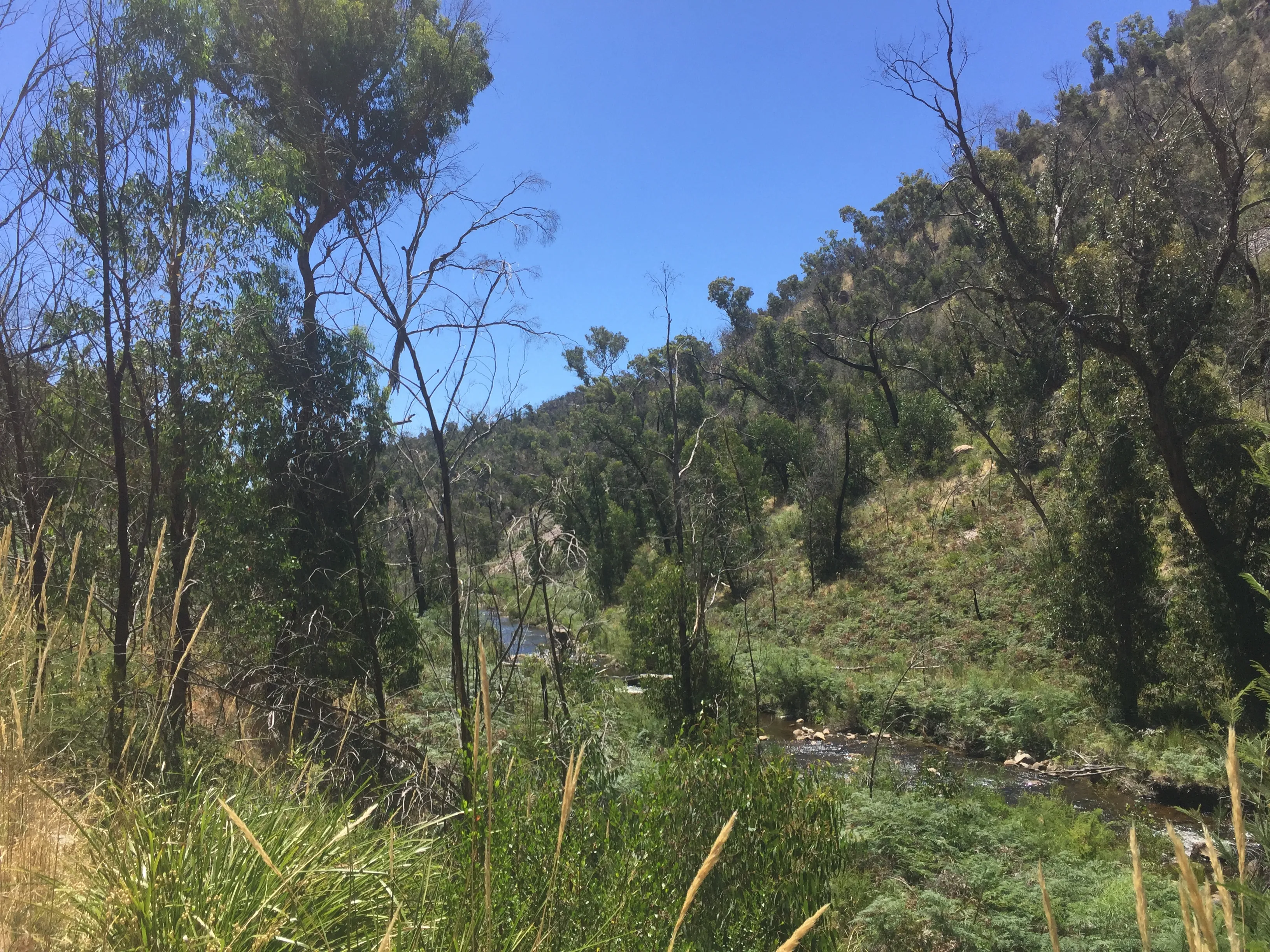 Hike to Fish Falls, Grampians NP