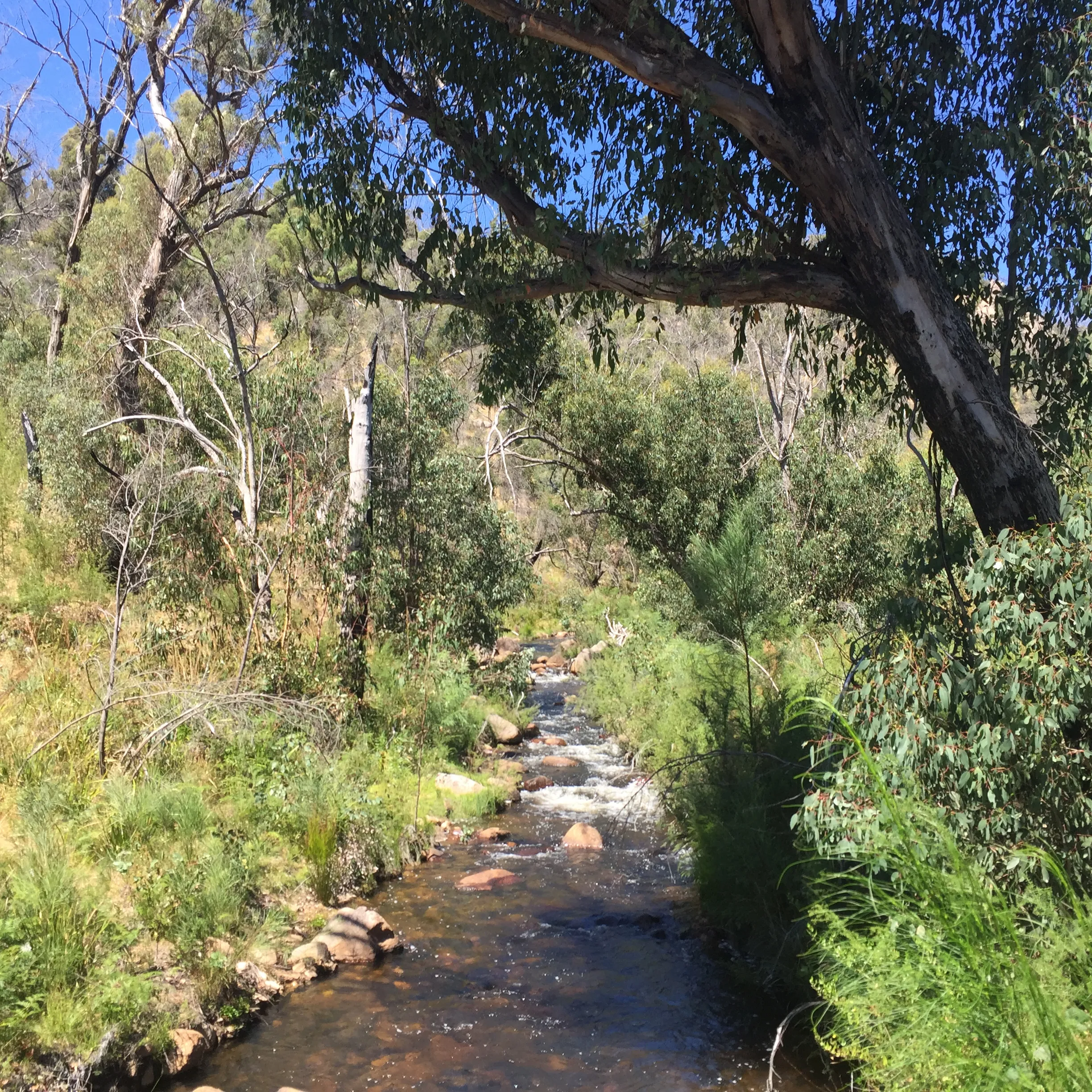 Hike to Fish Falls, Grampians NP