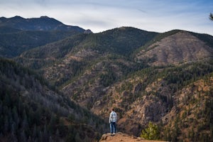 Mt. Cutler Trail