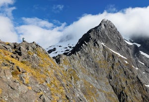 Climb to Homer Saddle, Fjordland NP