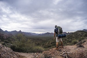 Bluff Springs Loop