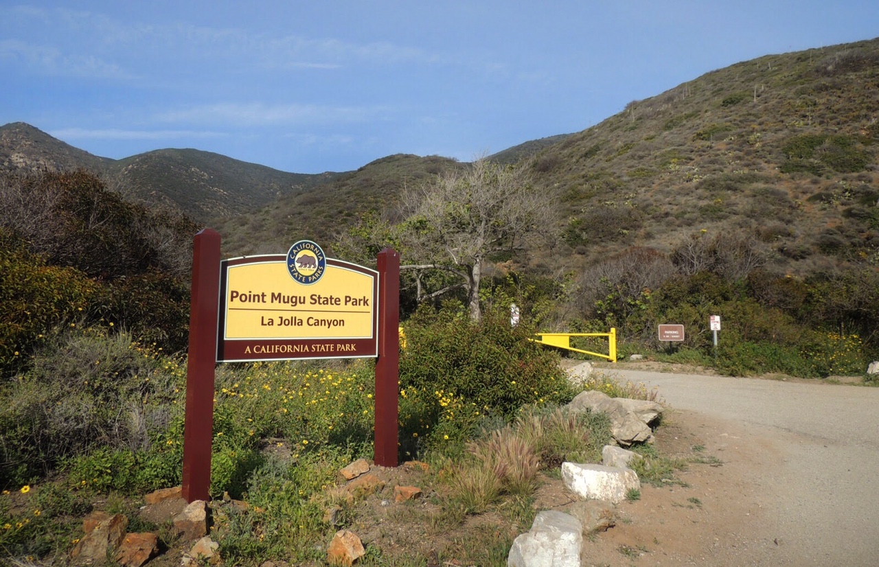 La Jolla Canyon Falls