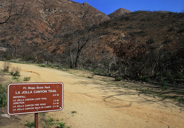 La Jolla Canyon Falls