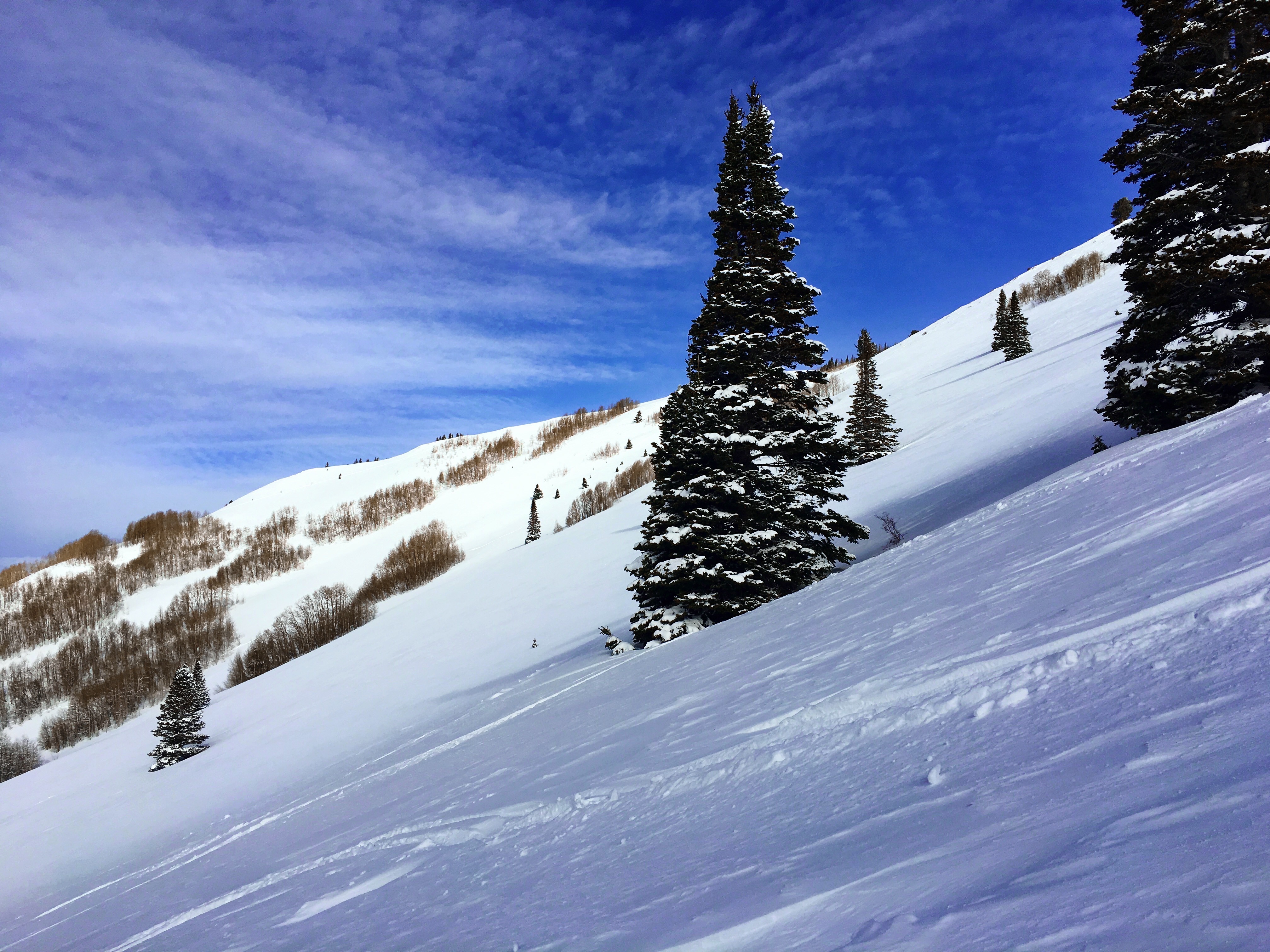 Backcountry Ski USA Bowl