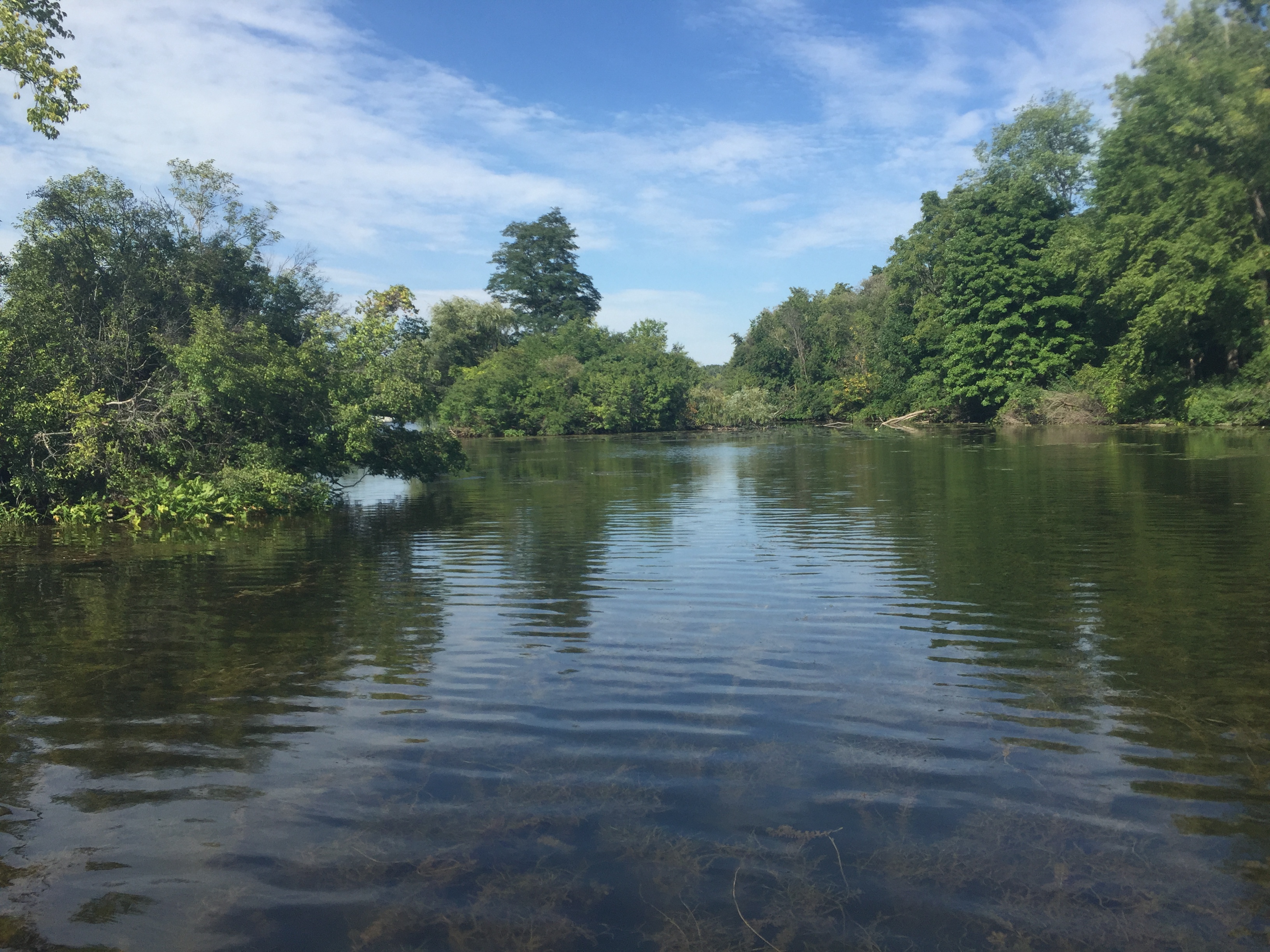 Paddle Argo Pond