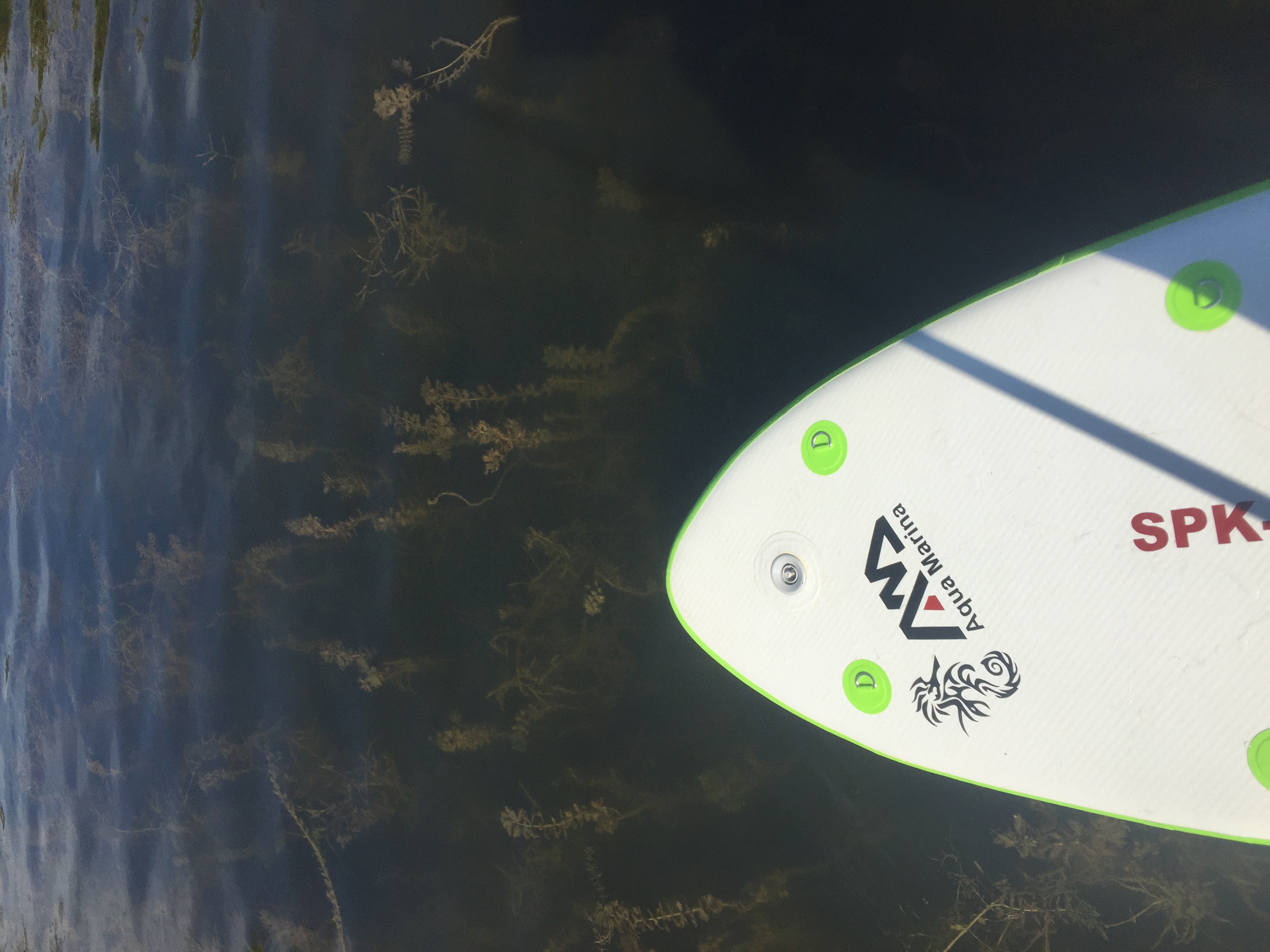Paddle Argo Pond