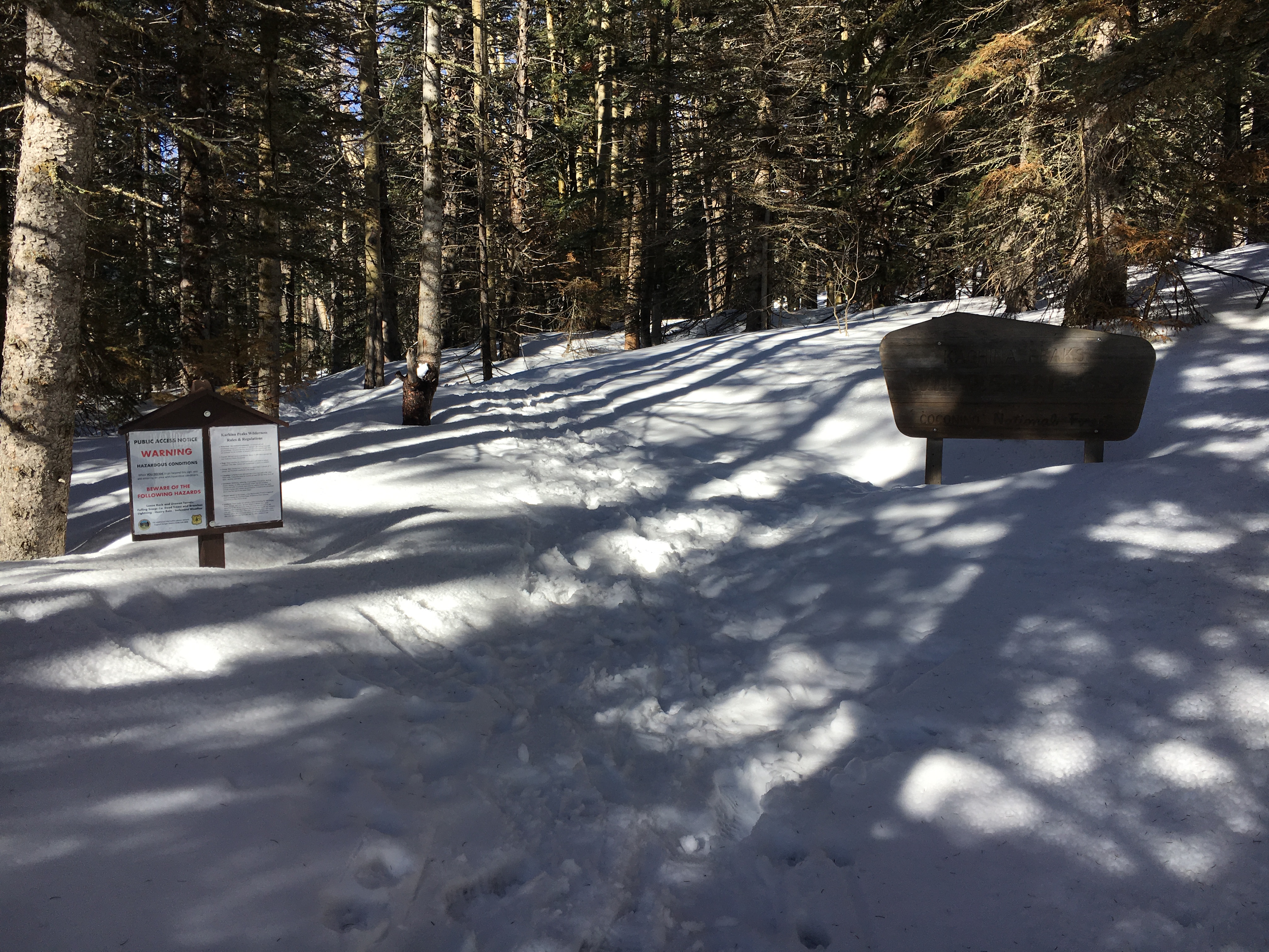 Winter Summit Humphreys Peak, Arizona