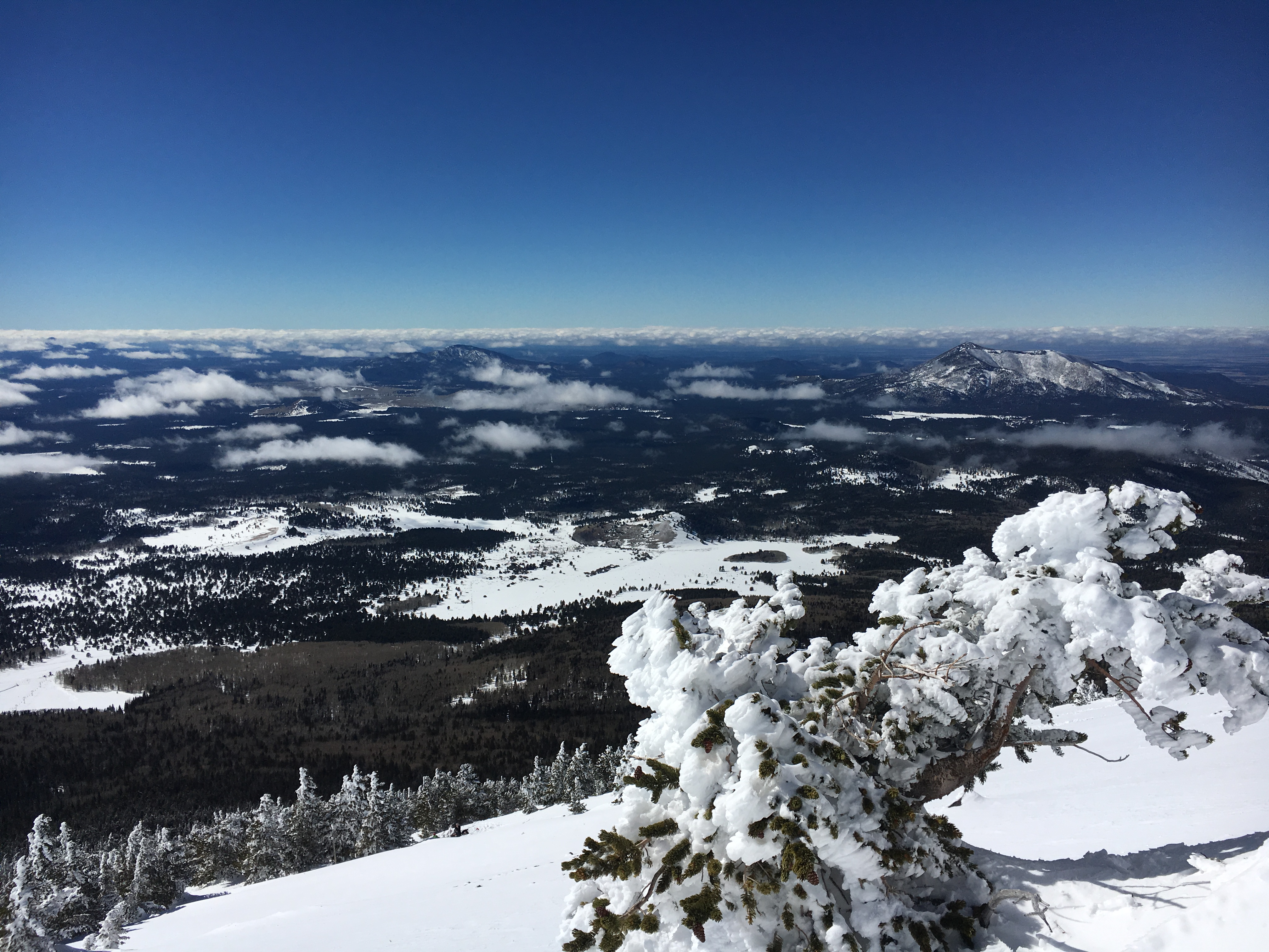 Winter Summit Humphreys Peak, Arizona