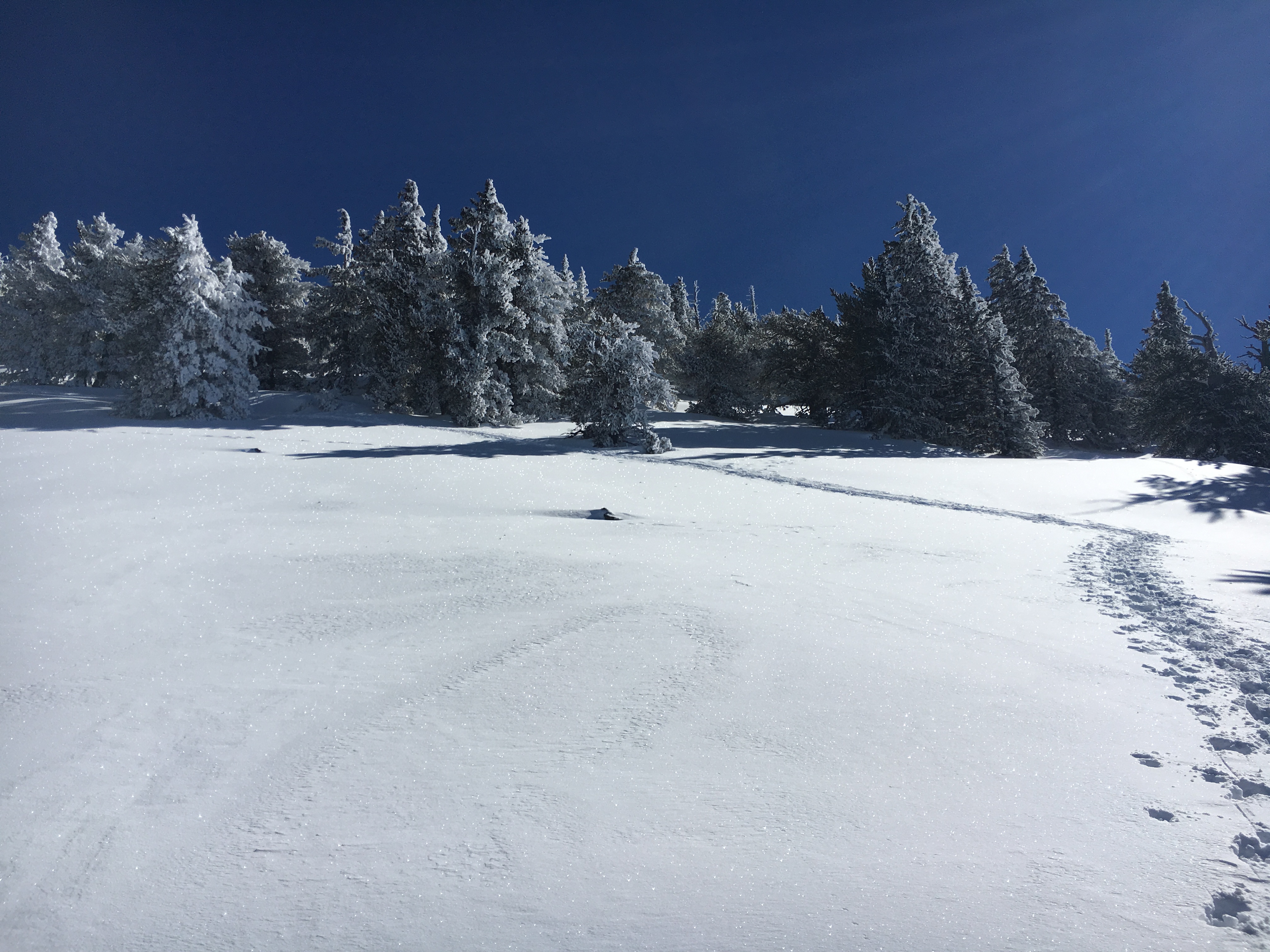 Winter Summit Humphreys Peak, Arizona
