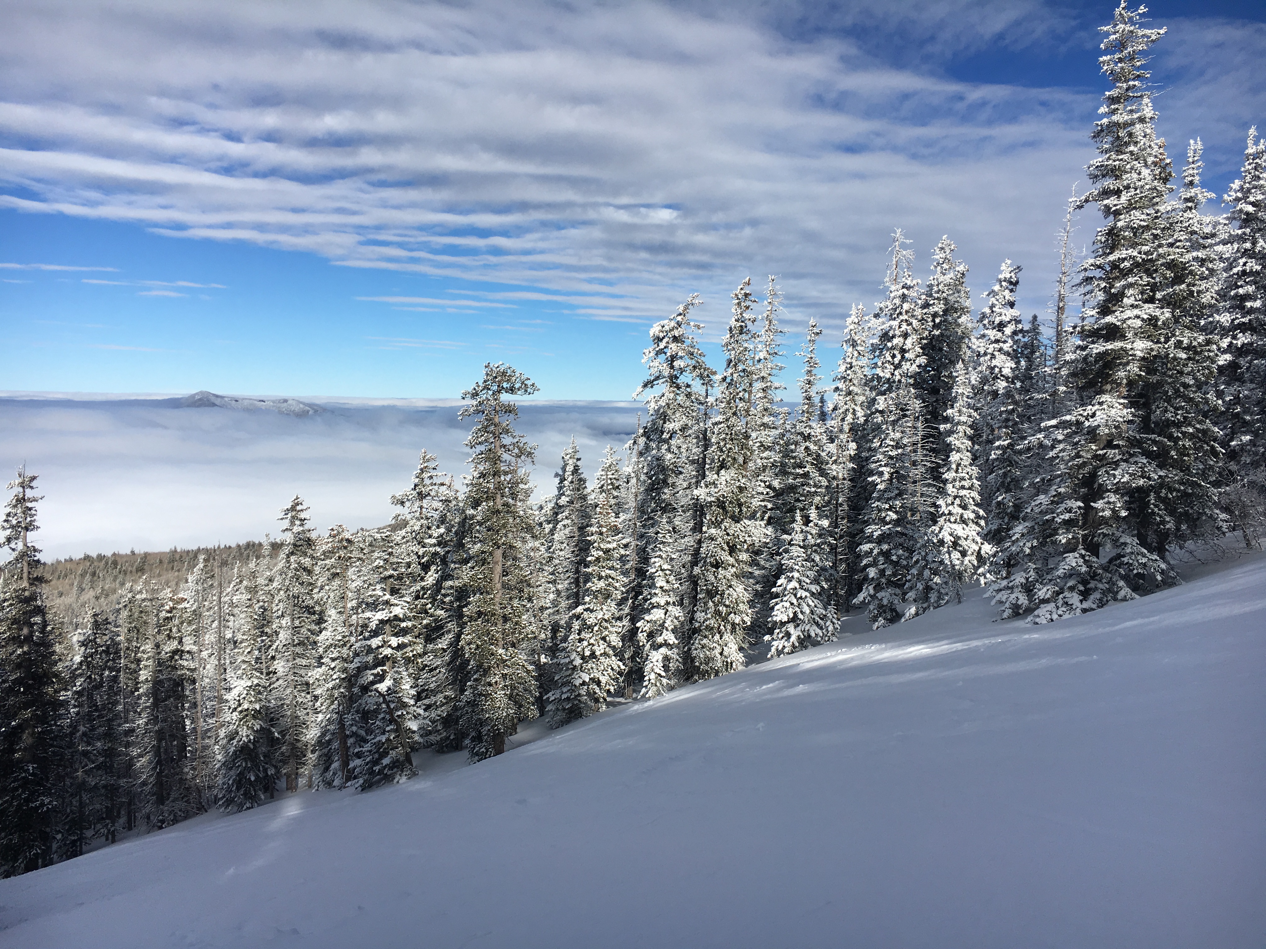 Winter Summit Humphreys Peak, Arizona