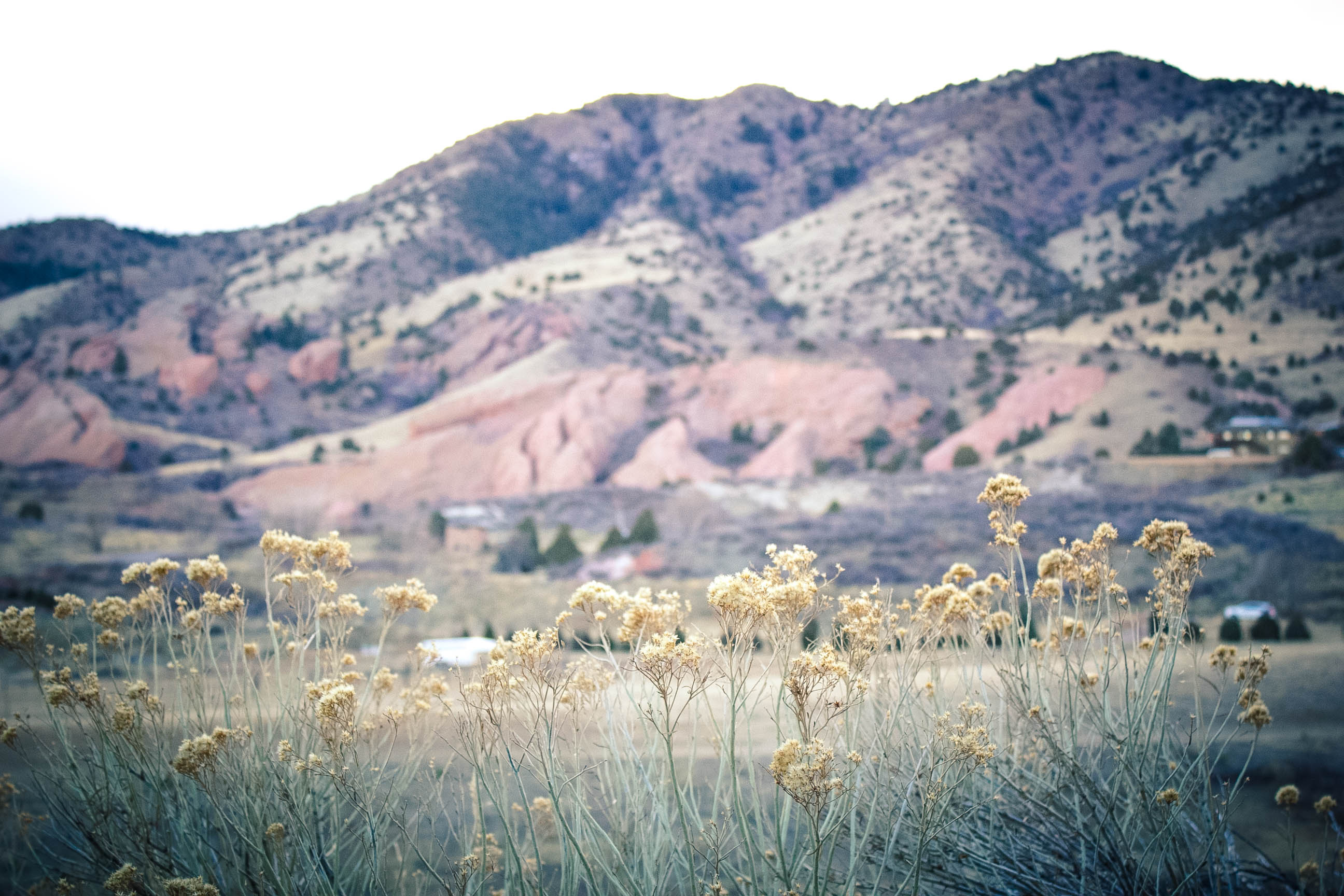 Dinosaur Ridge 