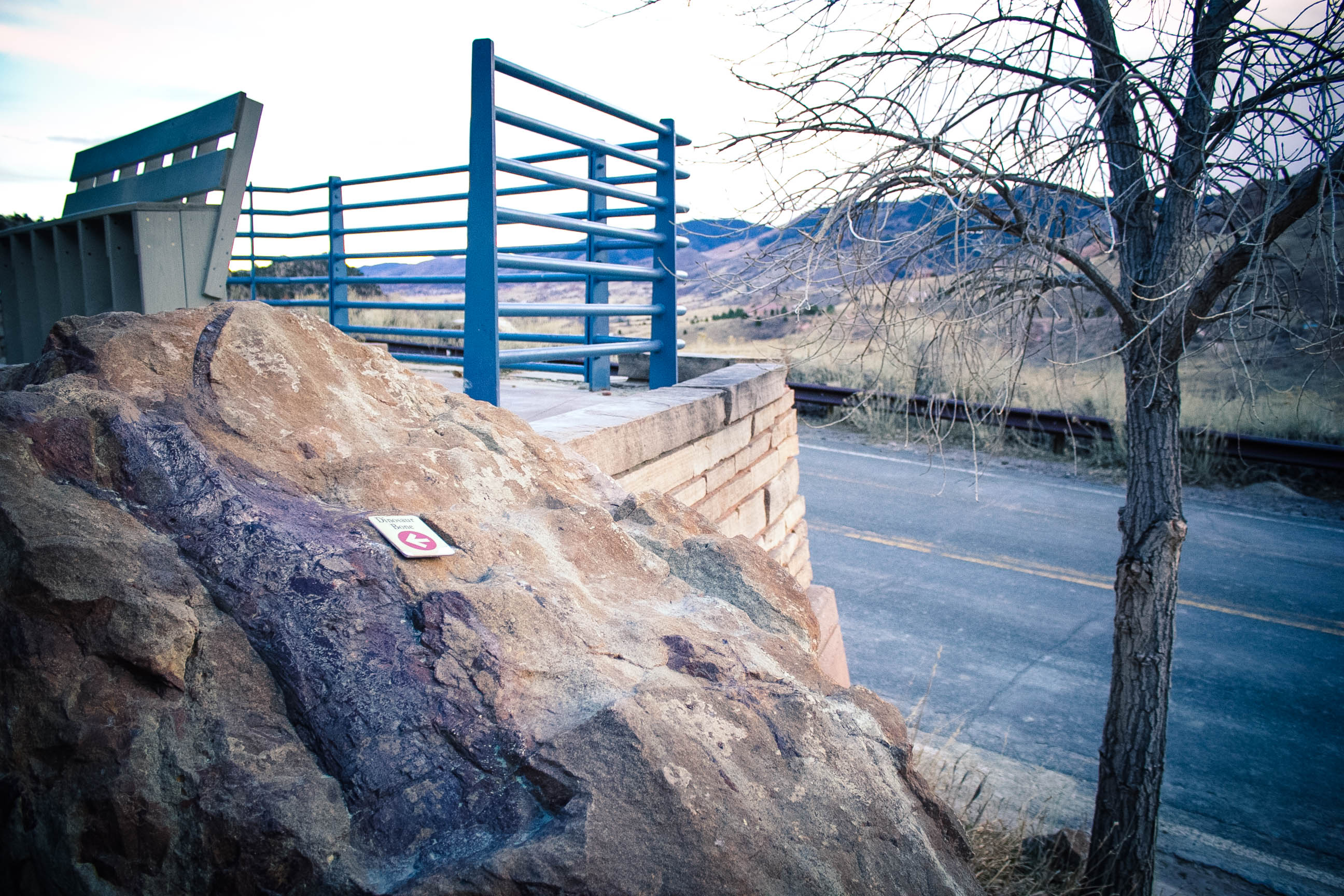 Dinosaur Ridge 