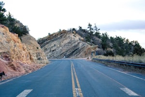 Hike Dinosaur Ridge 