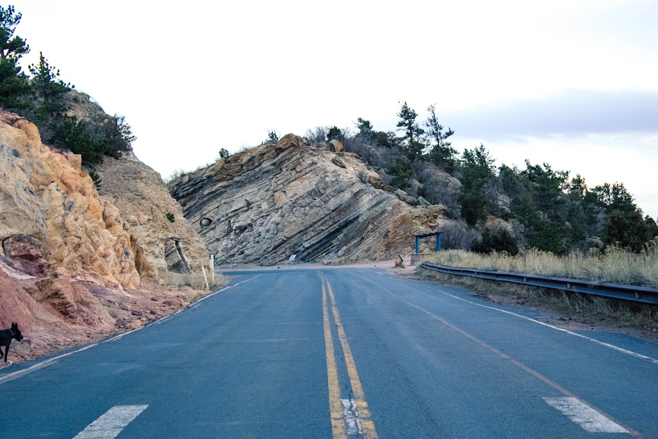 Hike Dinosaur Ridge , Colorado