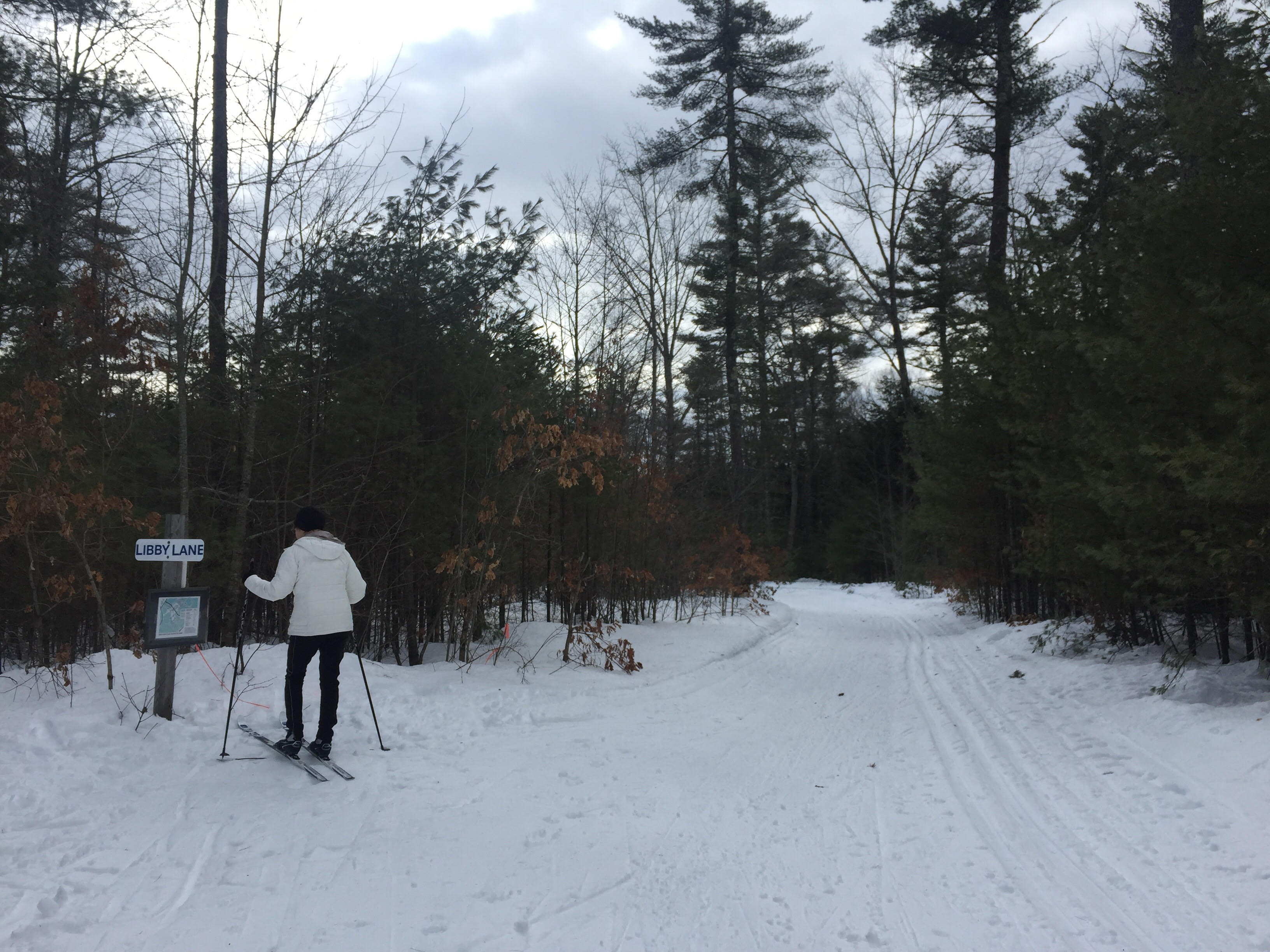 Cross Country Ski the Trails at Harris Farm