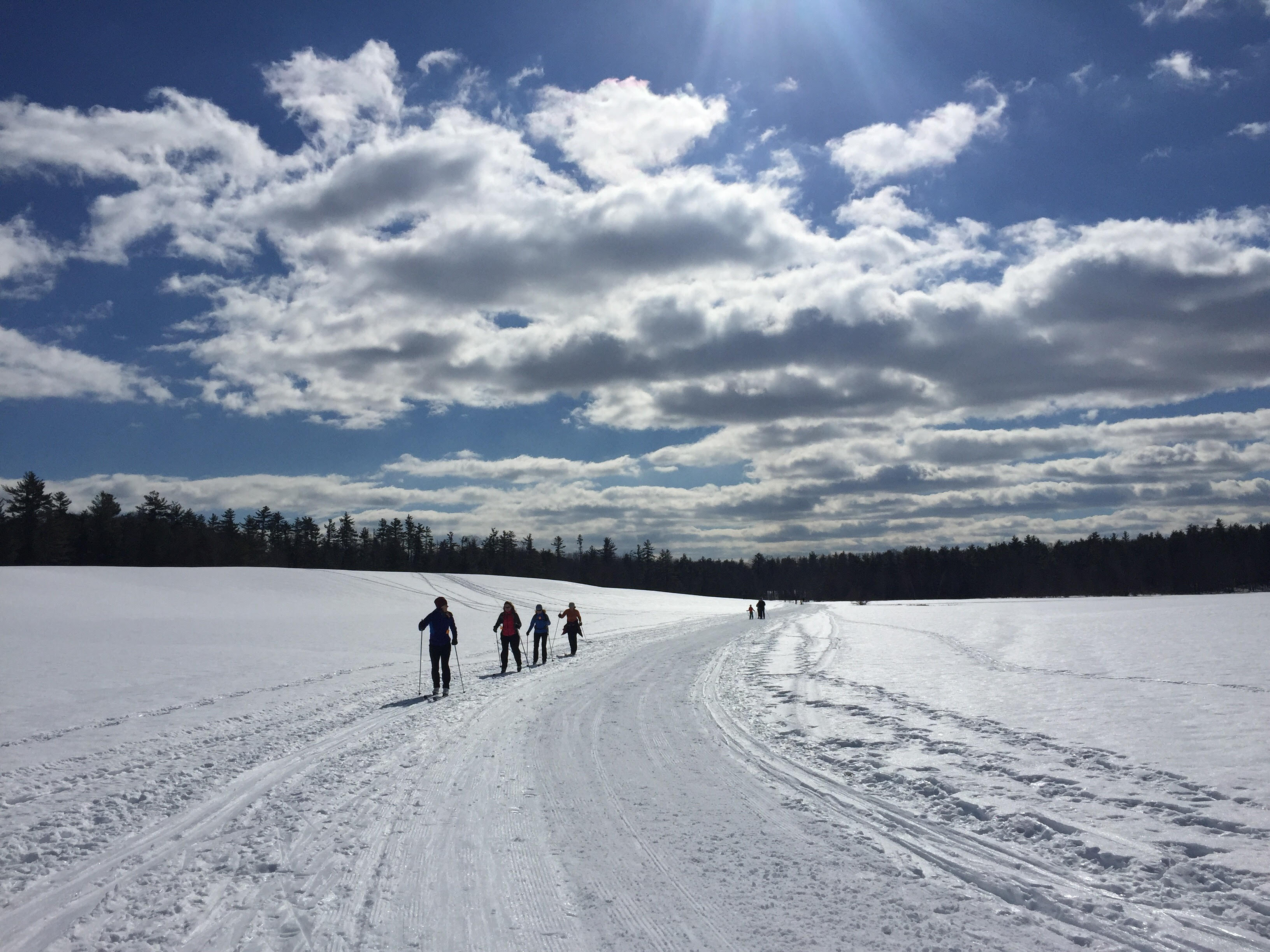 Cross Country Ski the Trails at Harris Farm, Dayton, Maine