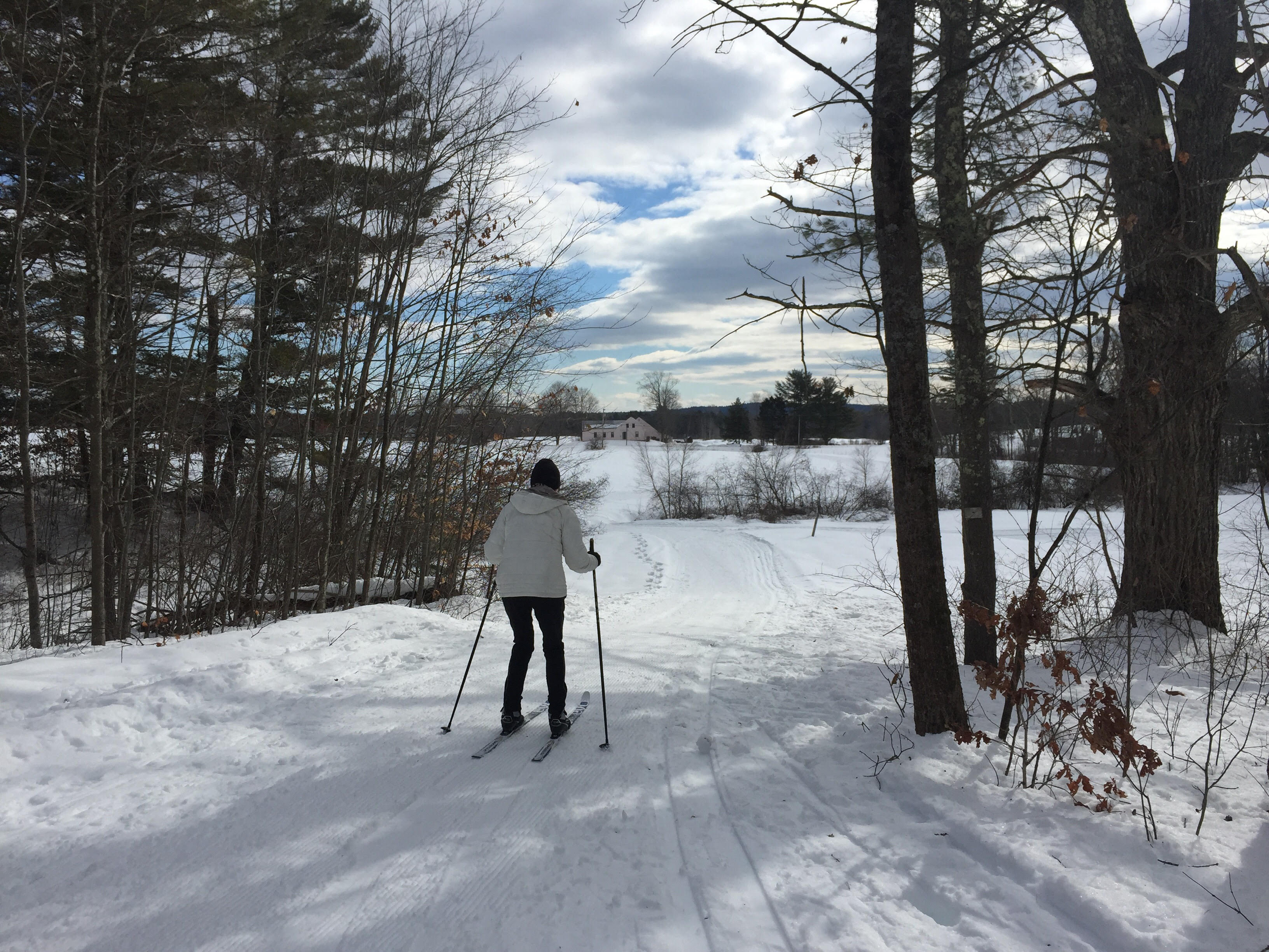 Cross Country Ski the Trails at Harris Farm